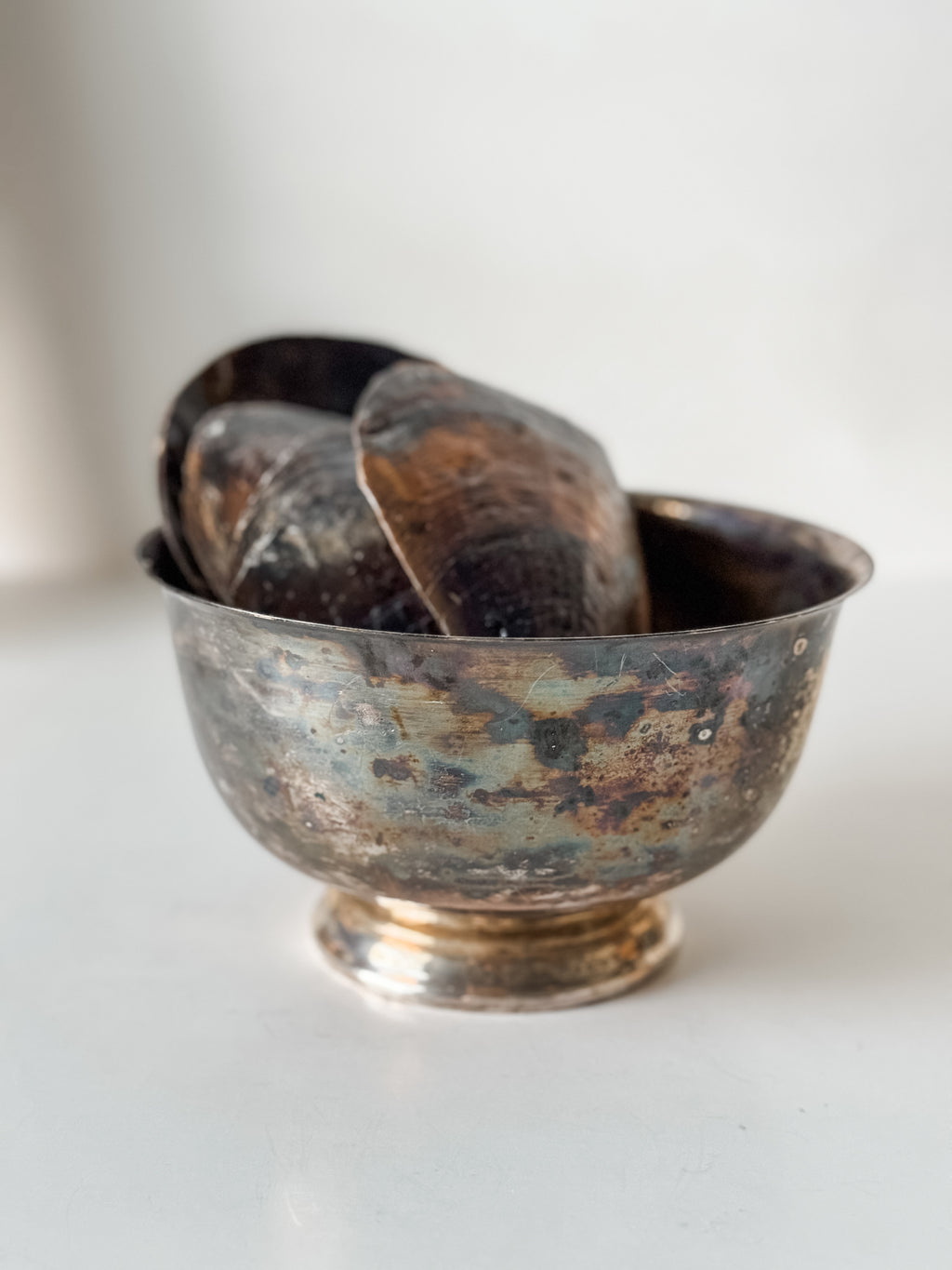 Vintage Patina Silver Footed Bowl With Collection Of Pen Clam Shells