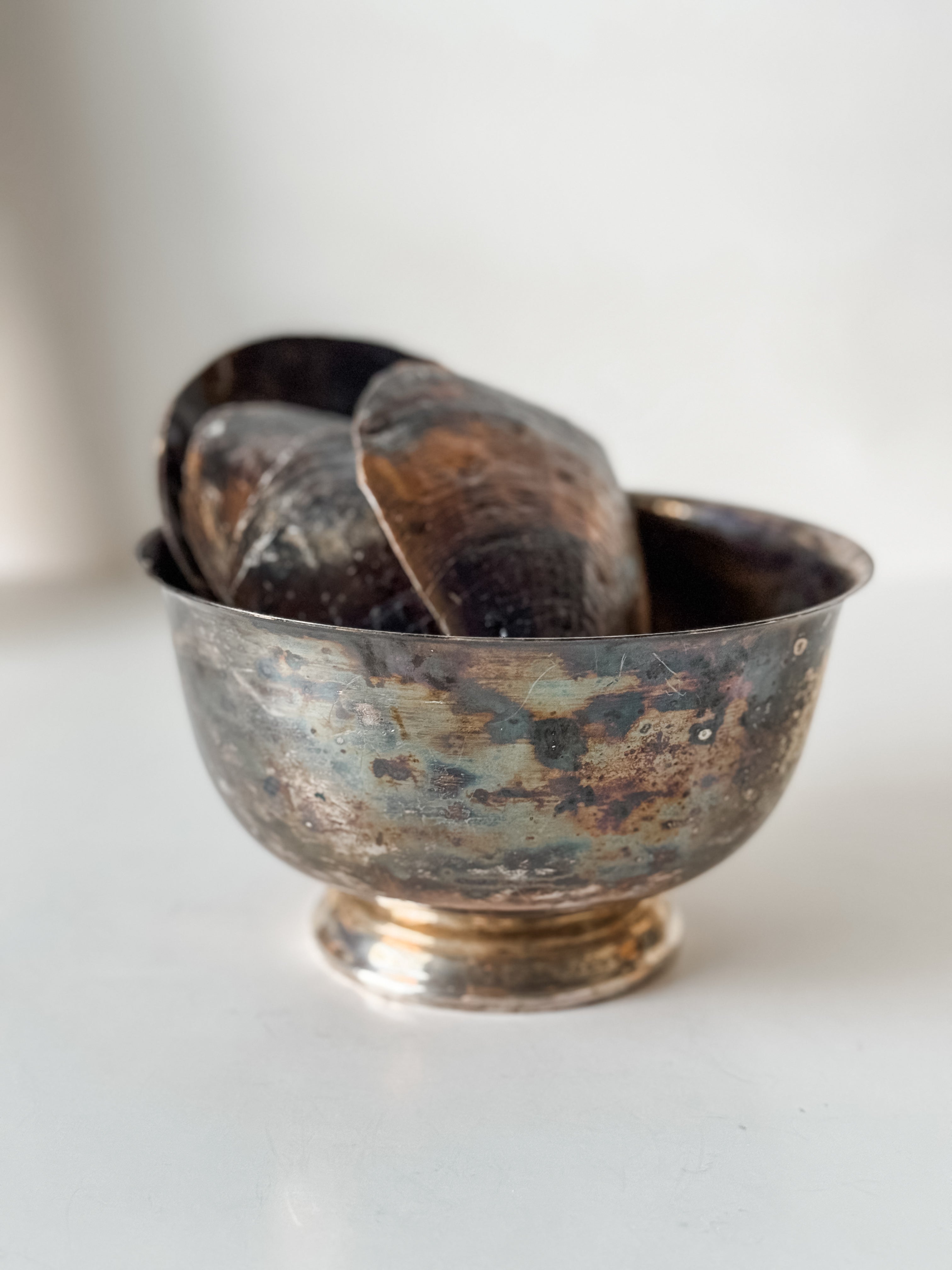 Vintage Patina Silver Footed Bowl With Collection Of Pen Clam Shells