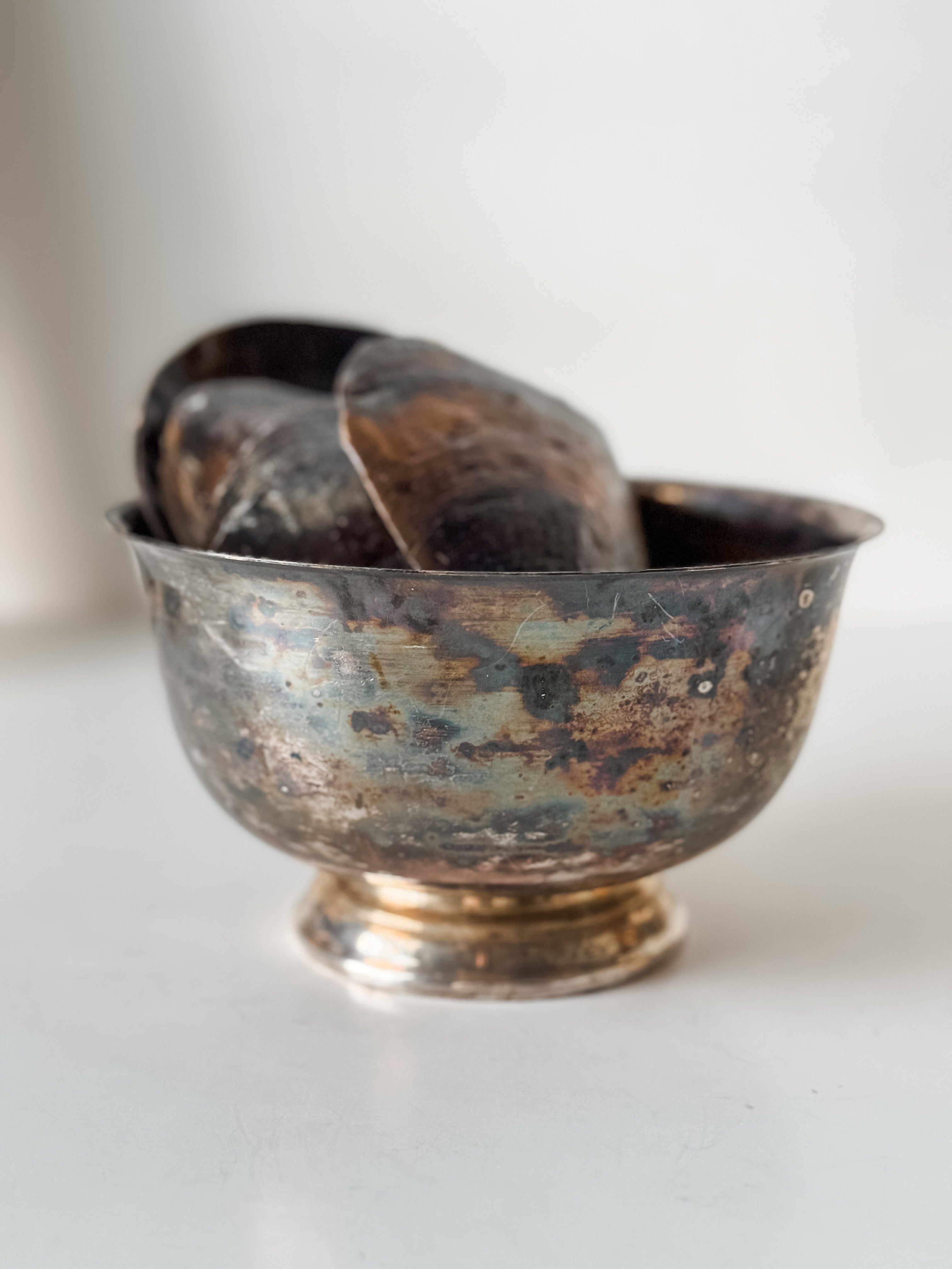 Vintage Patina Silver Footed Bowl With Collection Of Pen Clam Shells