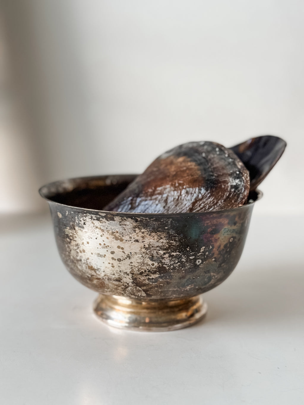 Vintage Patina Silver Footed Bowl With Collection Of Pen Clam Shells