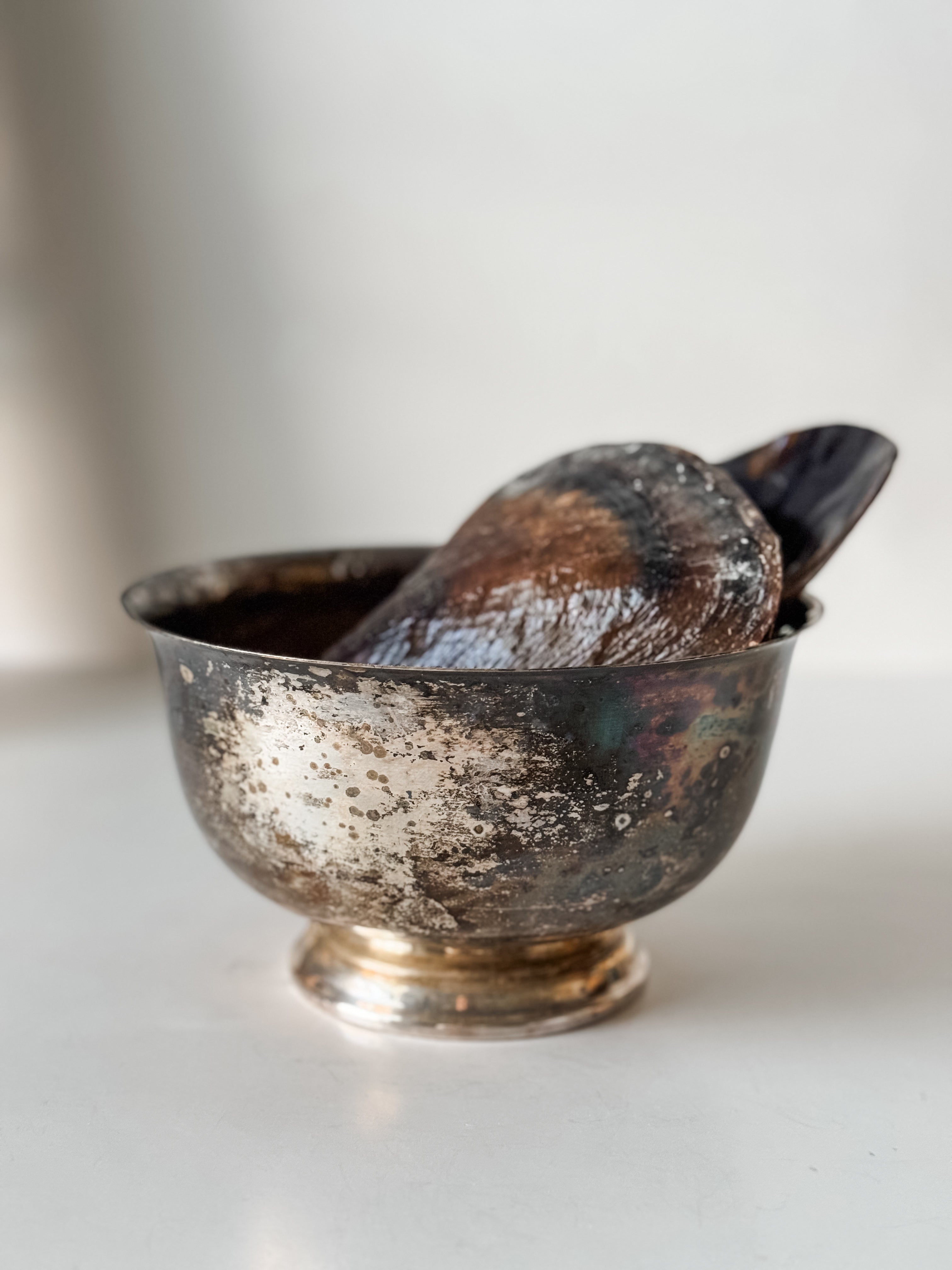 Vintage Patina Silver Footed Bowl With Collection Of Pen Clam Shells