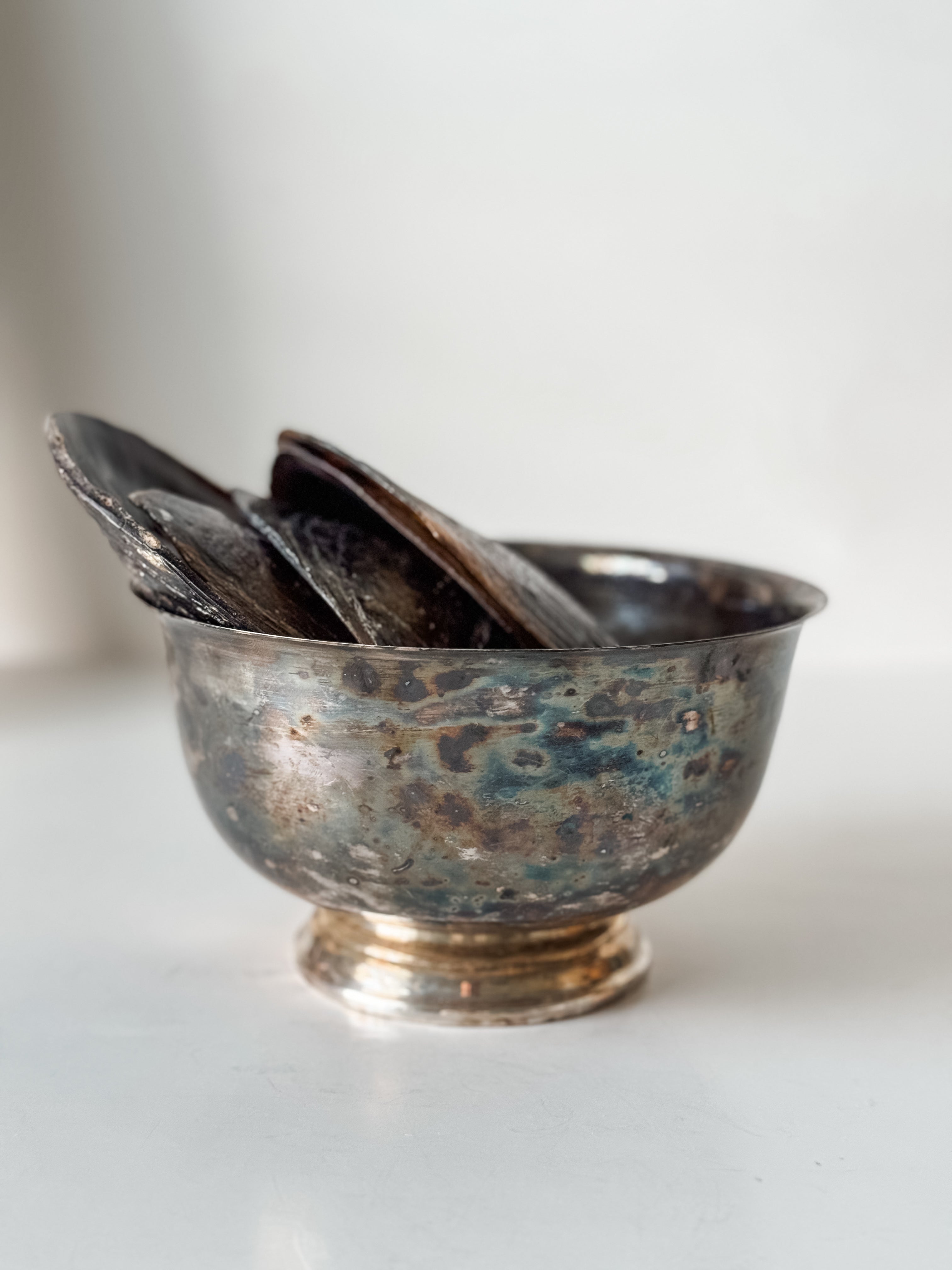 Vintage Patina Silver Footed Bowl With Collection Of Pen Clam Shells