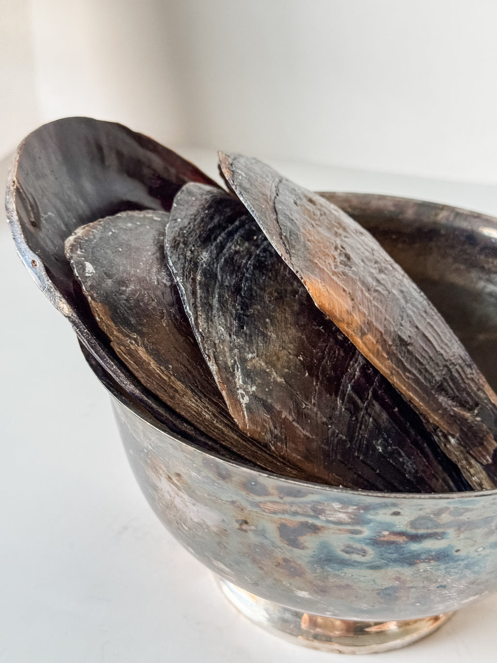 Vintage Patina Silver Footed Bowl With Collection Of Pen Clam Shells
