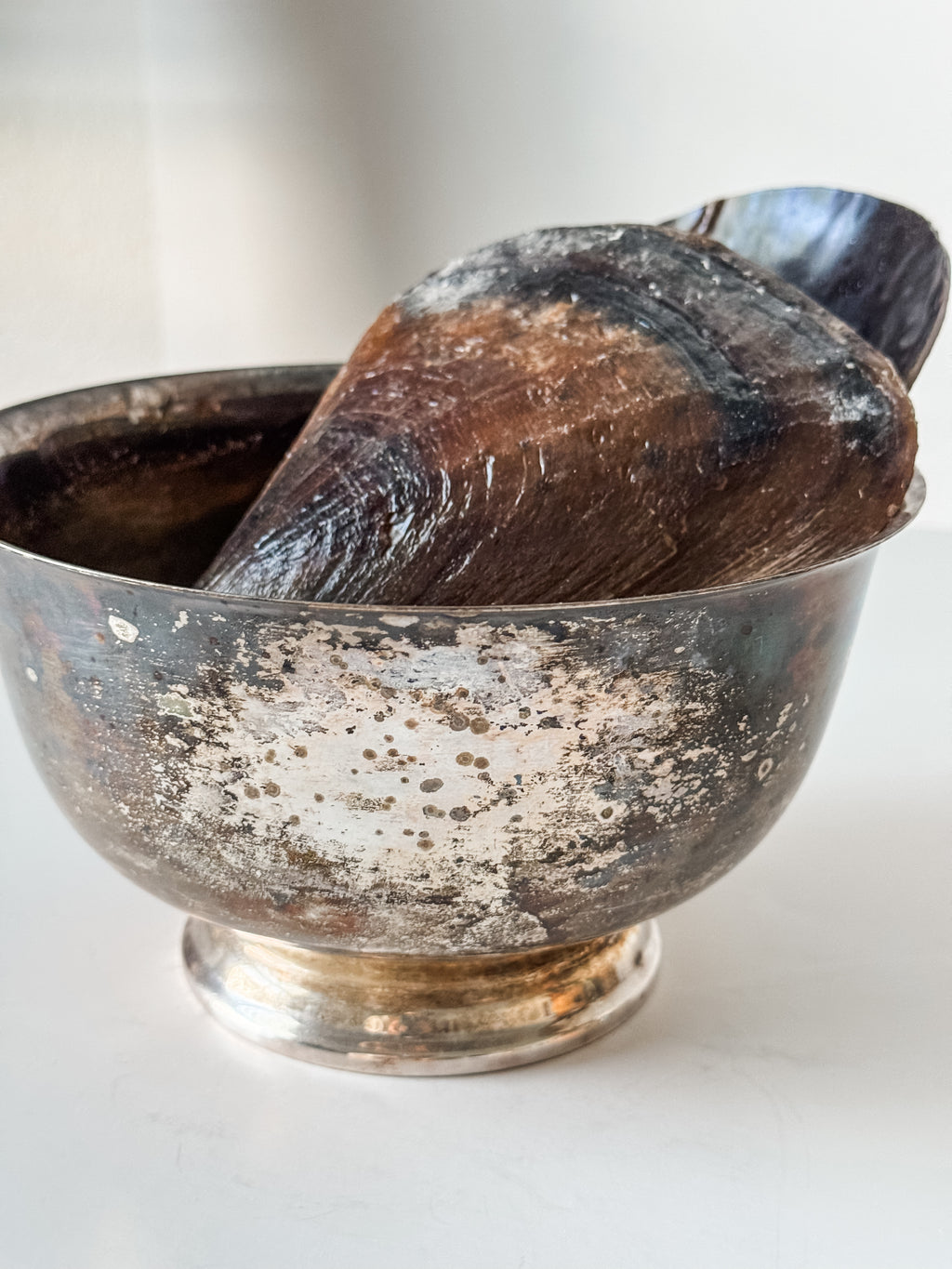 Vintage Patina Silver Footed Bowl With Collection Of Pen Clam Shells