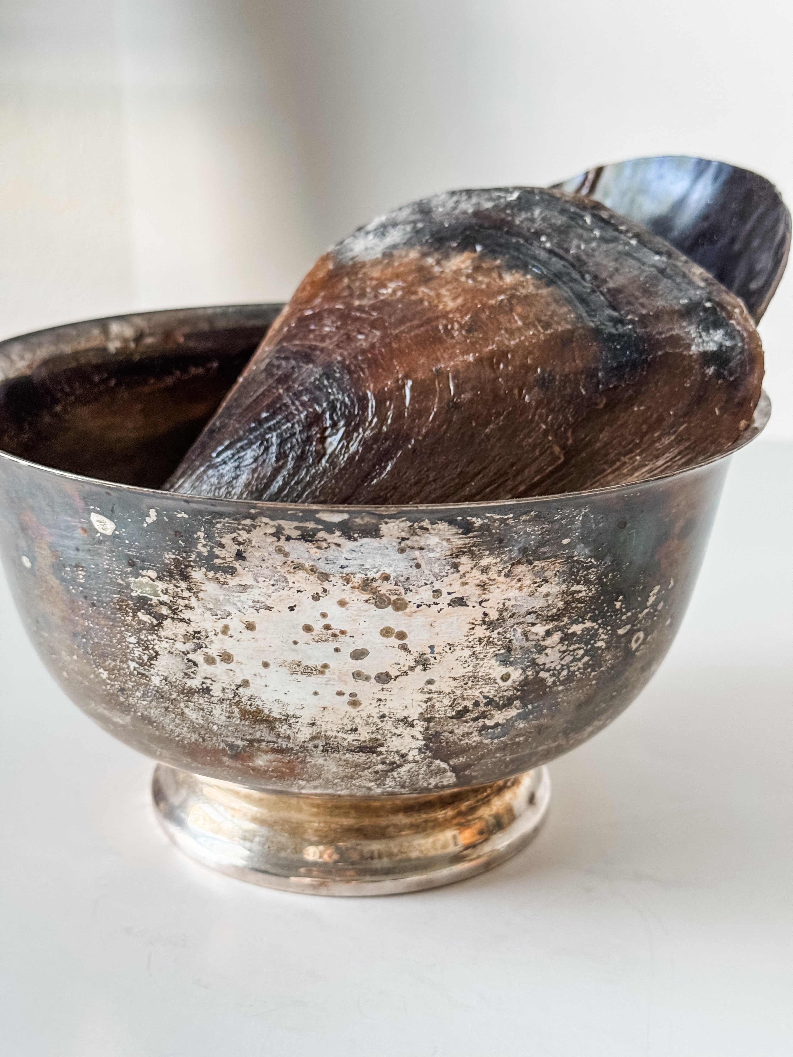Vintage Patina Silver Footed Bowl With Collection Of Pen Clam Shells
