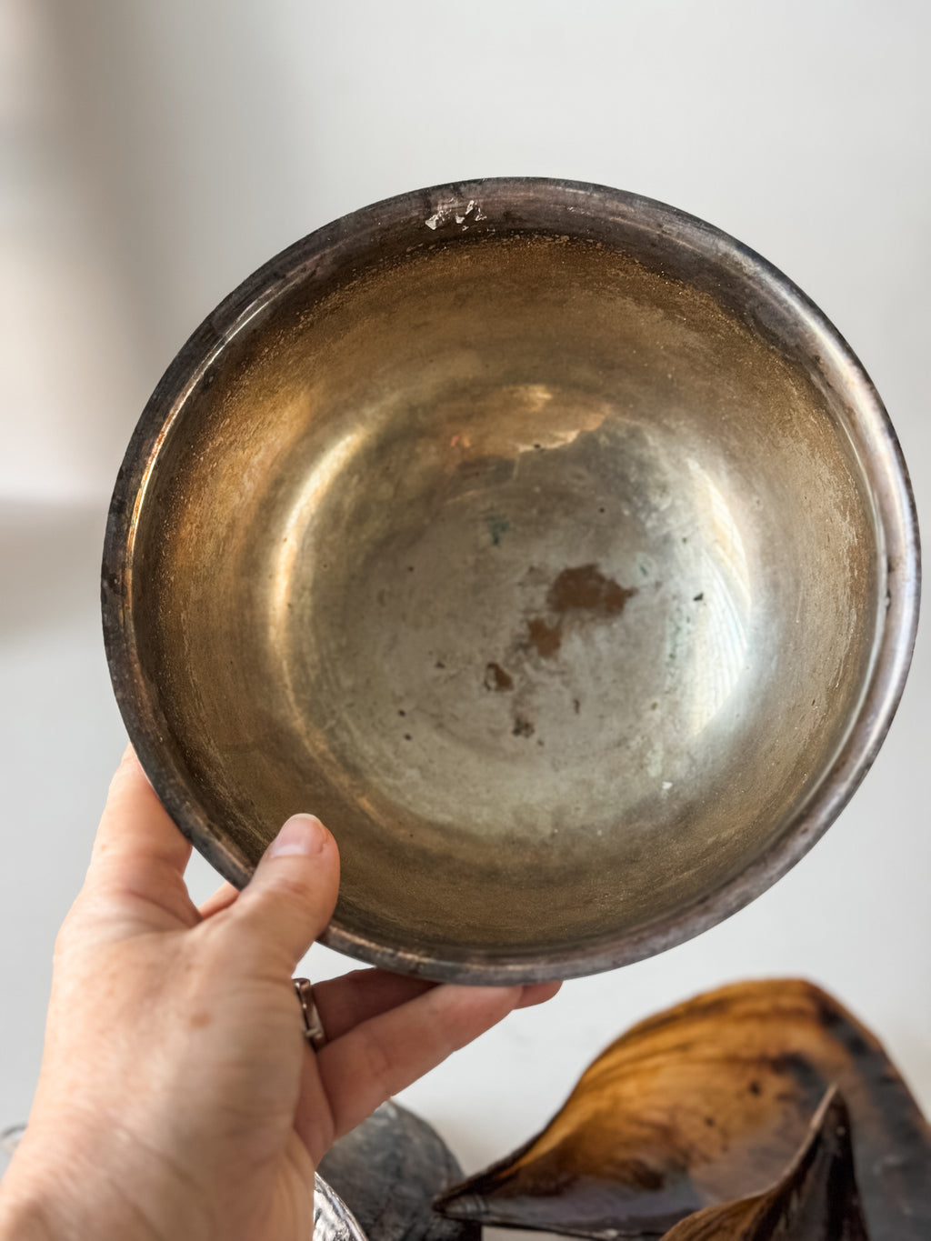 Vintage Patina Silver Footed Bowl With Collection Of Pen Clam Shells