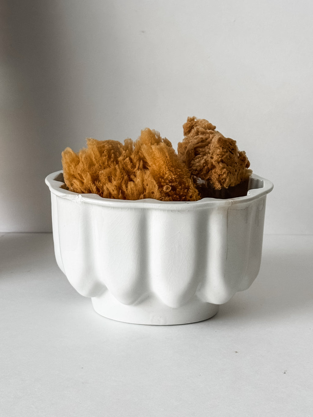 Vintage English Ironstone Mold With Sea Sponge Collection