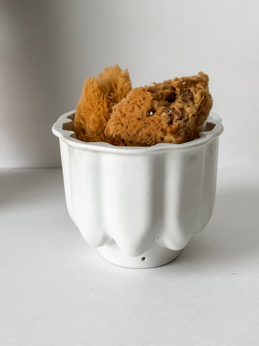 Vintage English Ironstone Mold With Sea Sponge Collection