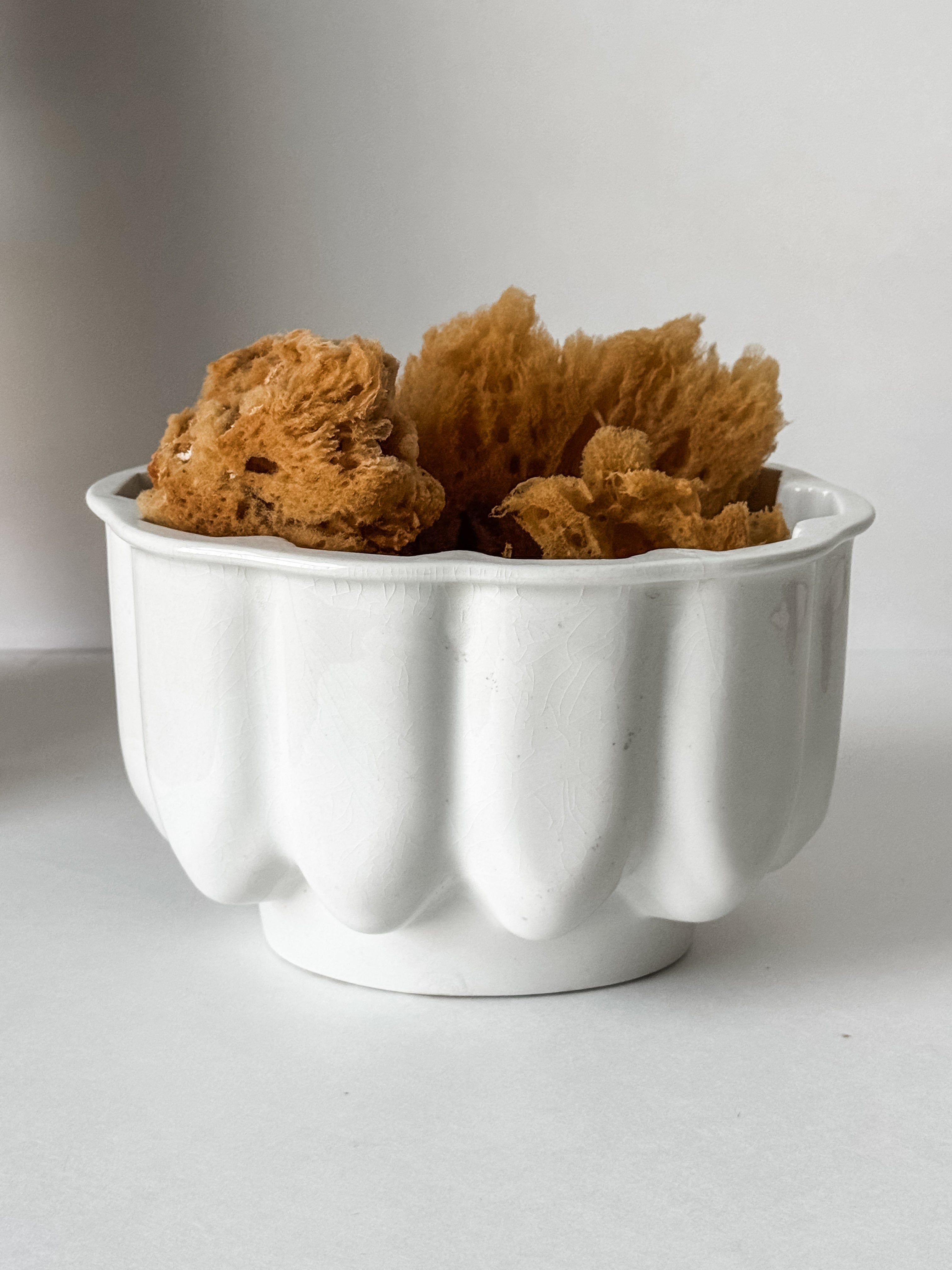 Vintage English Ironstone Mold With Sea Sponge Collection