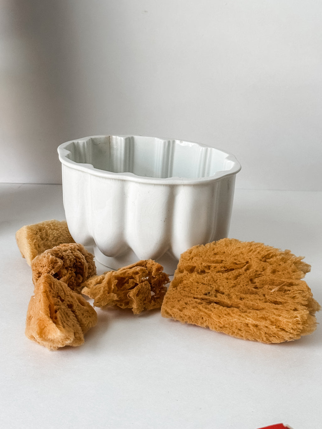 Vintage English Ironstone Mold With Sea Sponge Collection