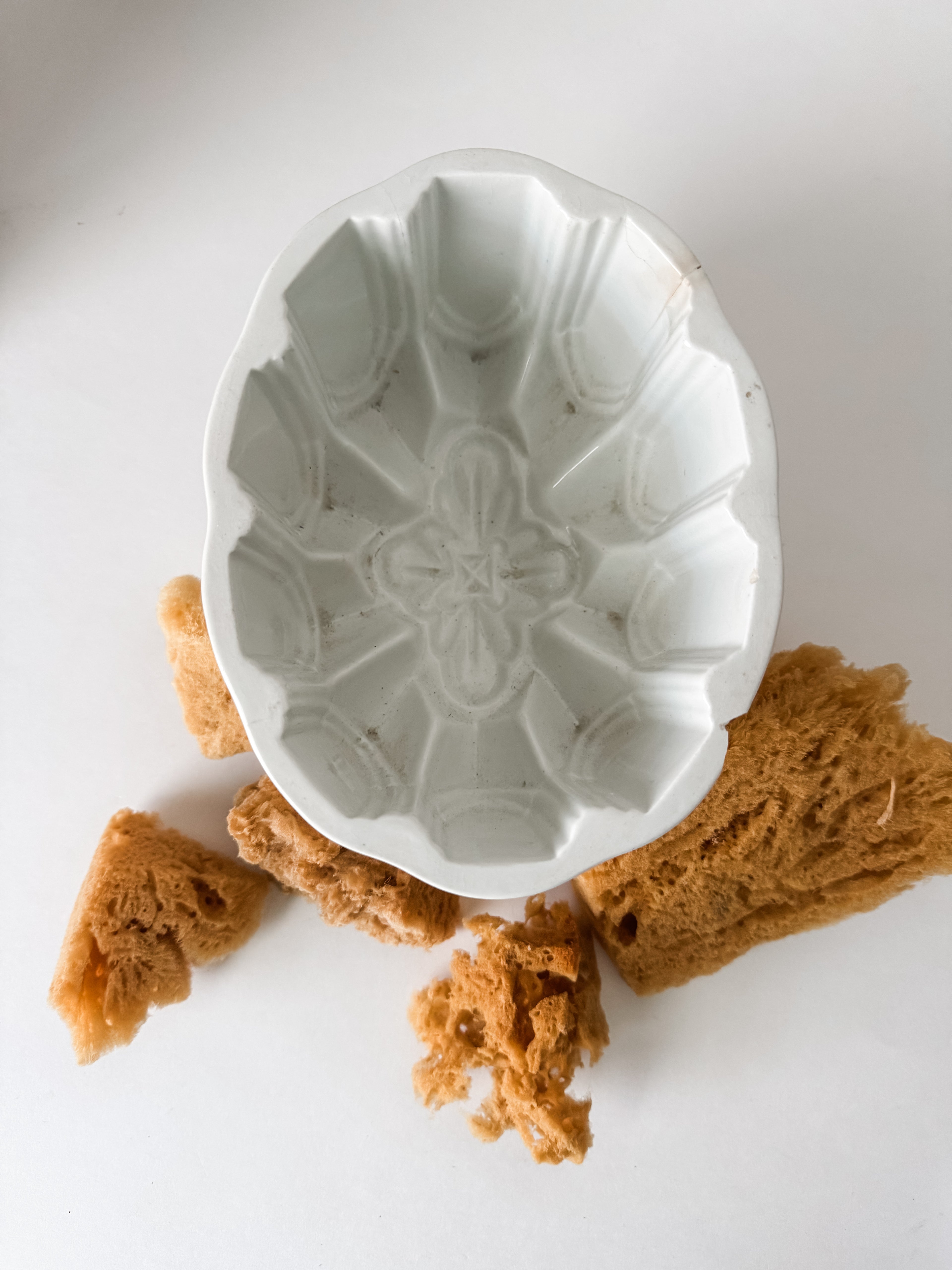 Vintage English Ironstone Mold With Sea Sponge Collection
