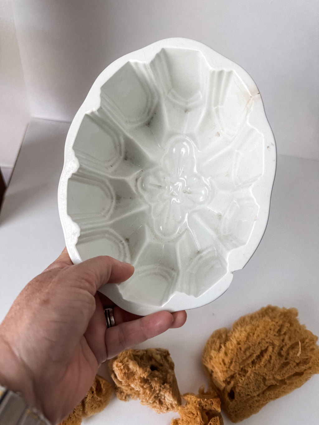 Vintage English Ironstone Mold With Sea Sponge Collection
