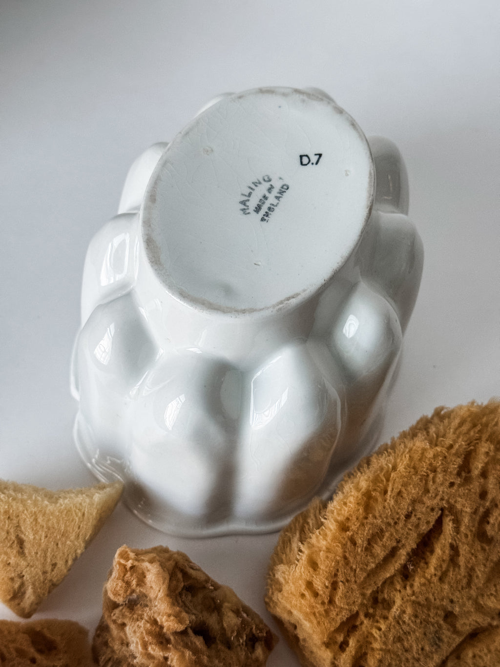 Vintage English Ironstone Mold With Sea Sponge Collection