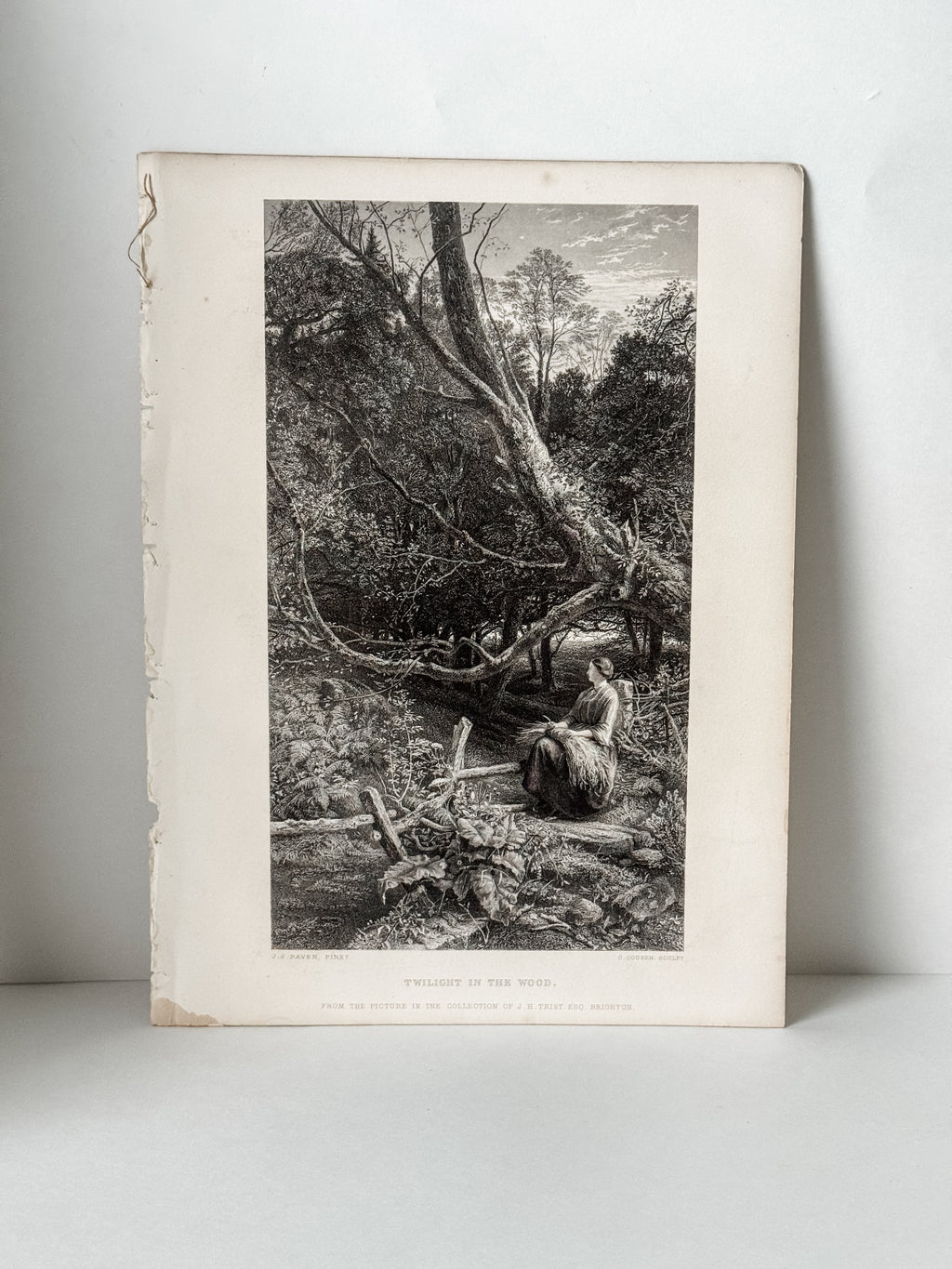 Antique Book Engraving Of Woman In The Woods Scene