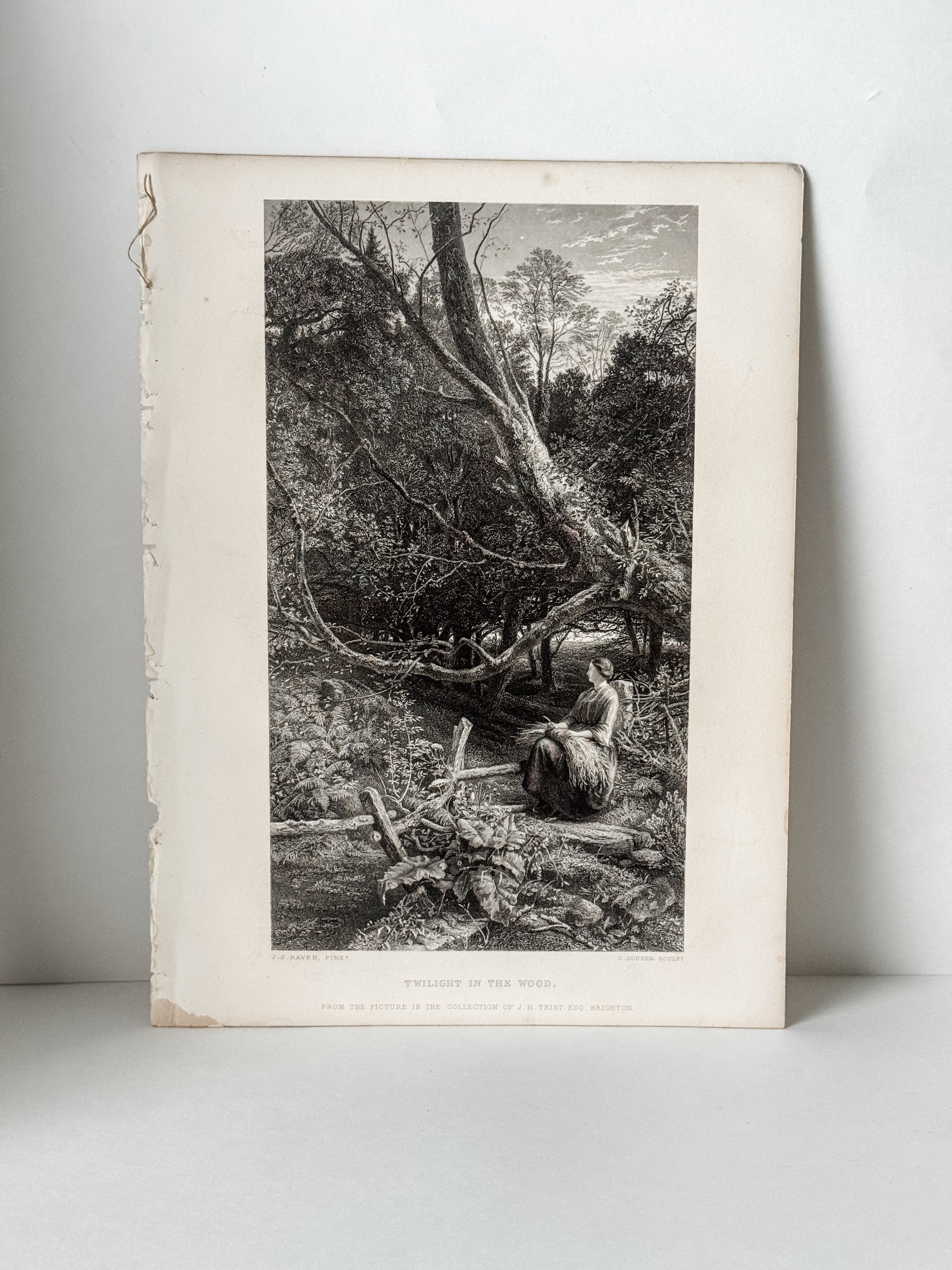 Antique Book Engraving Of Woman In The Woods Scene