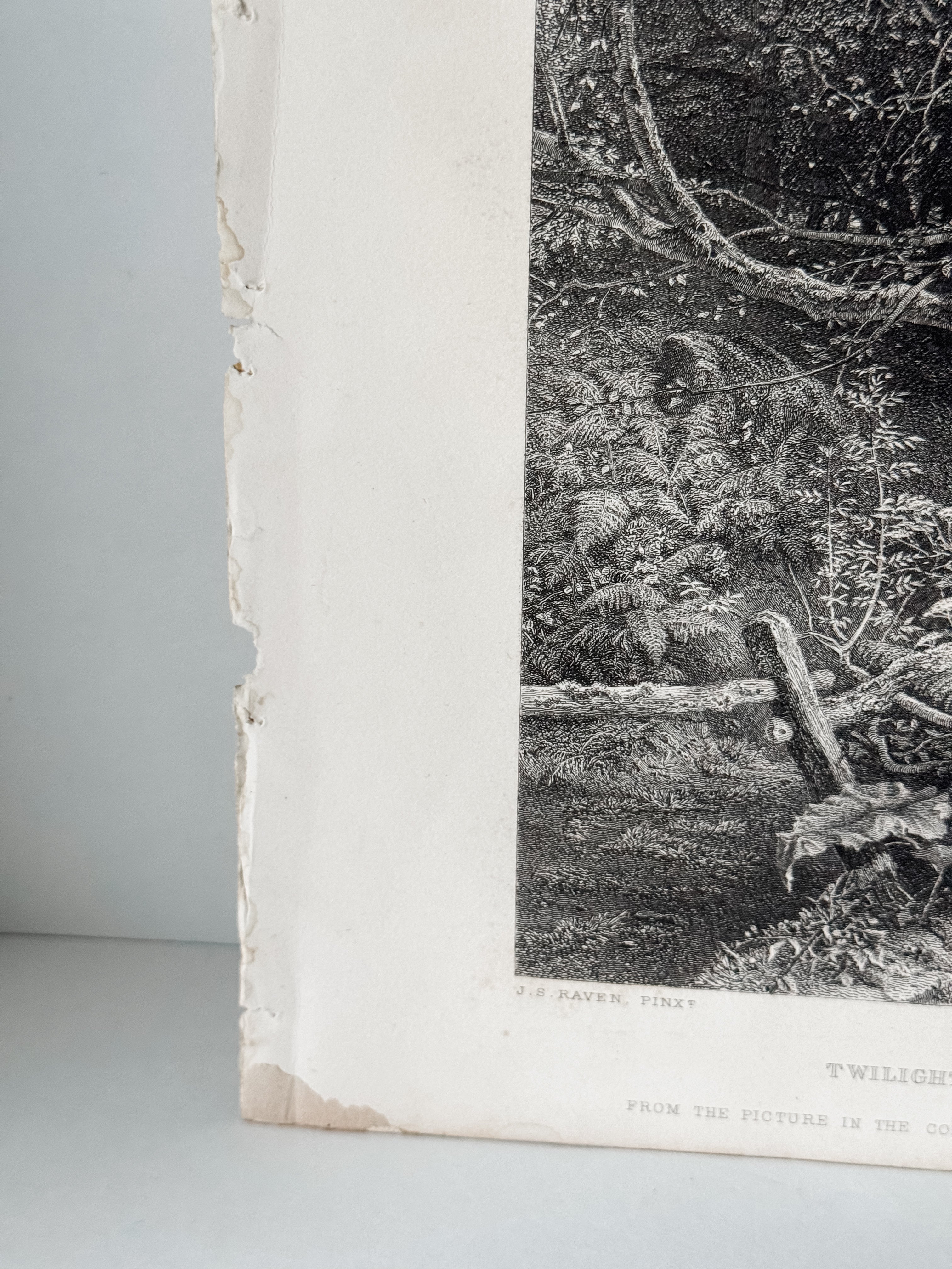 Antique Book Engraving Of Woman In The Woods Scene
