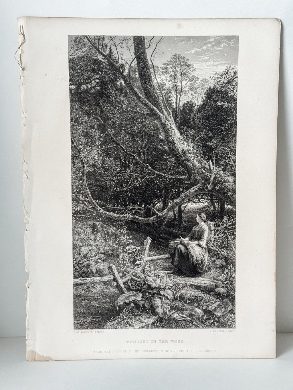 Antique Book Engraving Of Woman In The Woods Scene