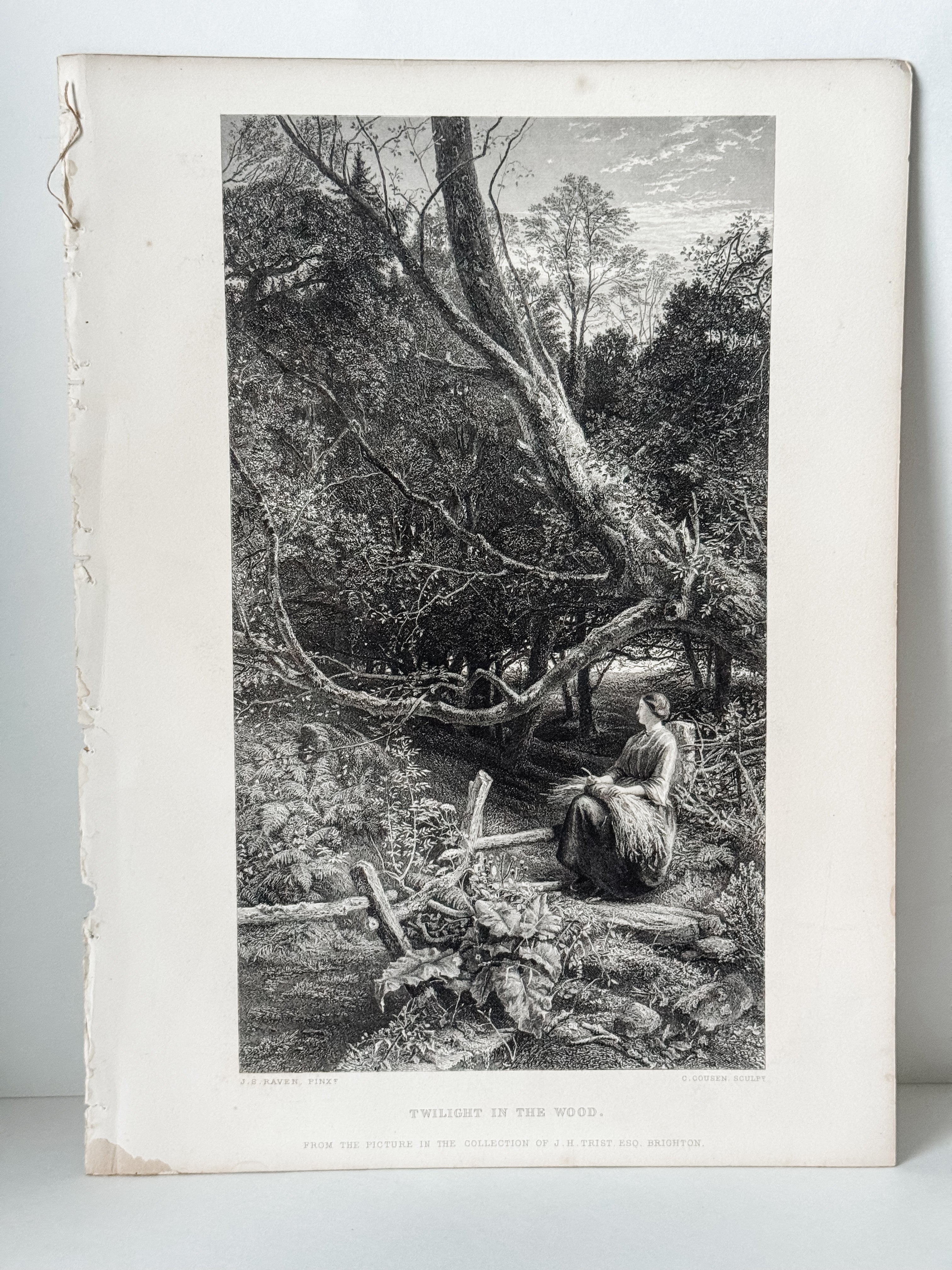 Antique Book Engraving Of Woman In The Woods Scene