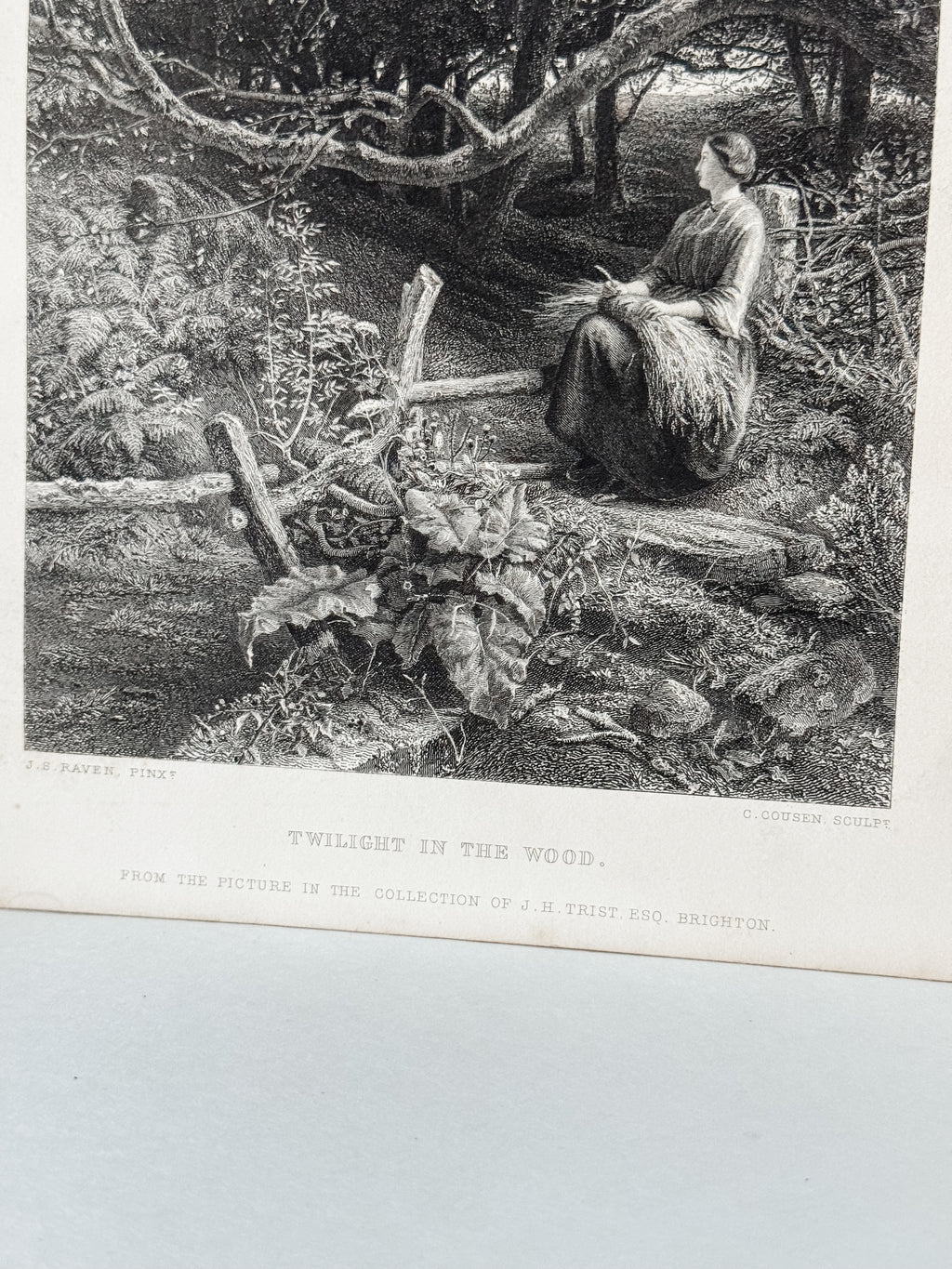 Antique Book Engraving Of Woman In The Woods Scene