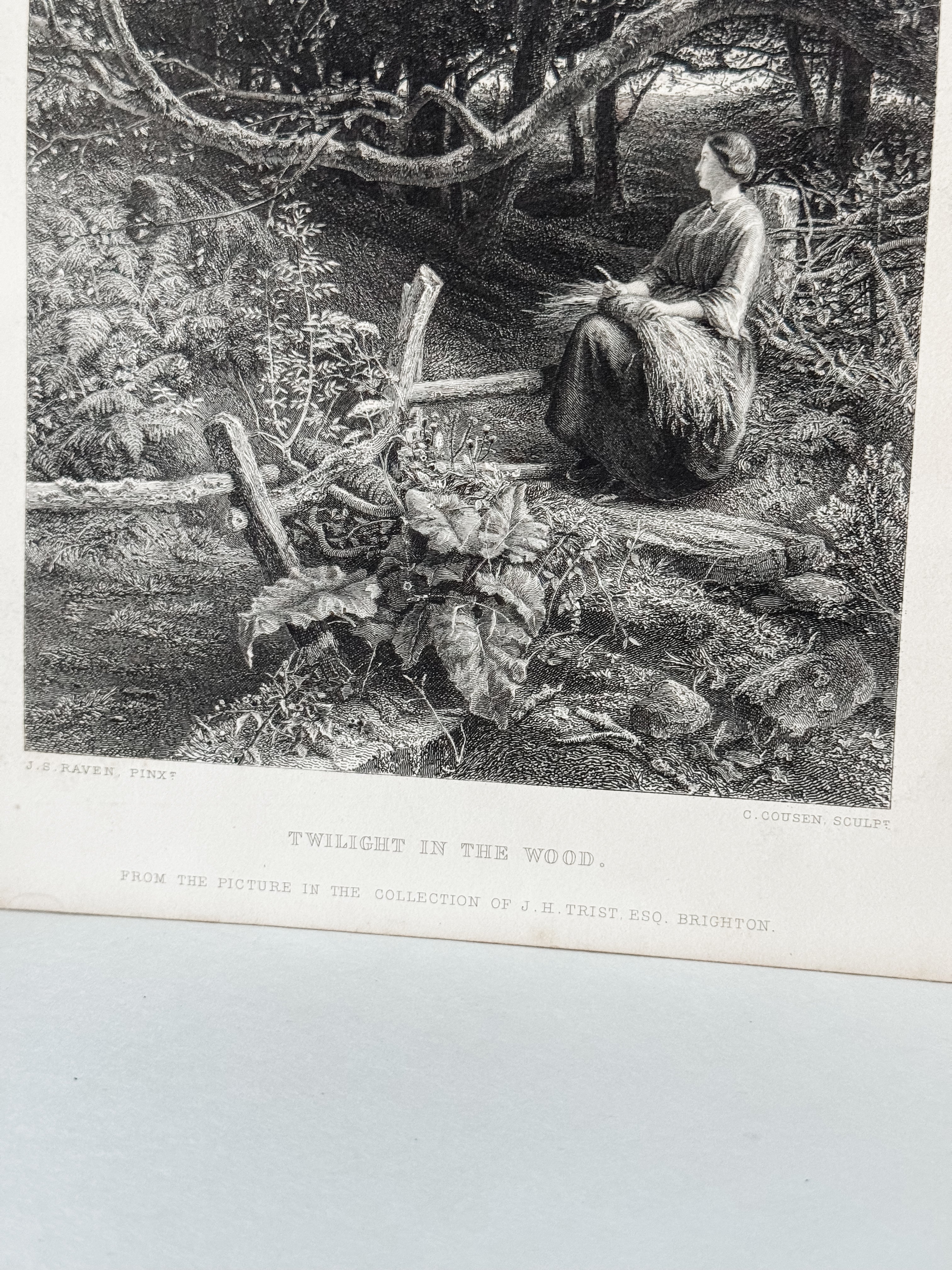 Antique Book Engraving Of Woman In The Woods Scene