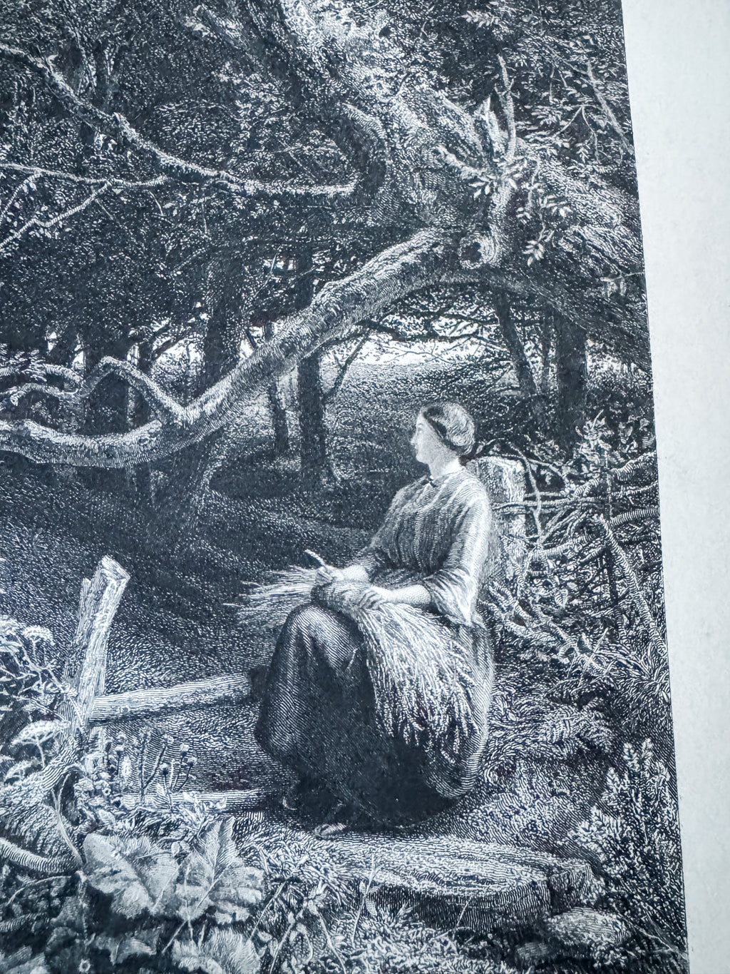 Antique Book Engraving Of Woman In The Woods Scene
