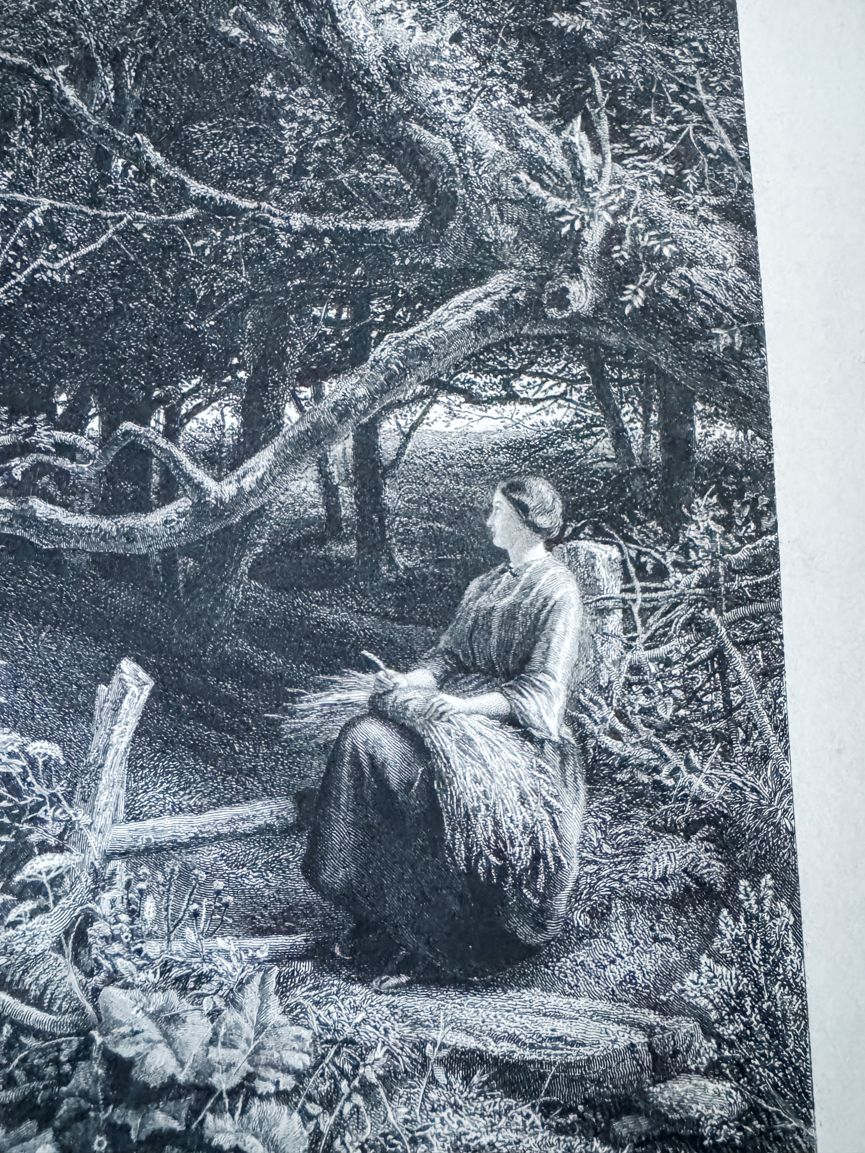 Antique Book Engraving Of Woman In The Woods Scene