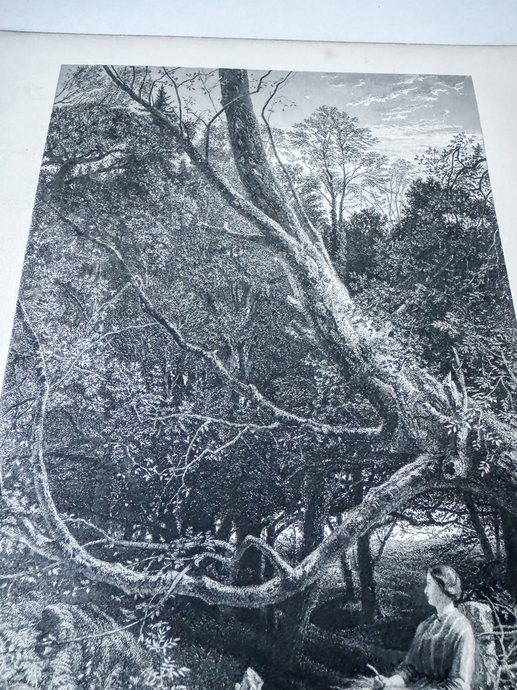 Antique Book Engraving Of Woman In The Woods Scene