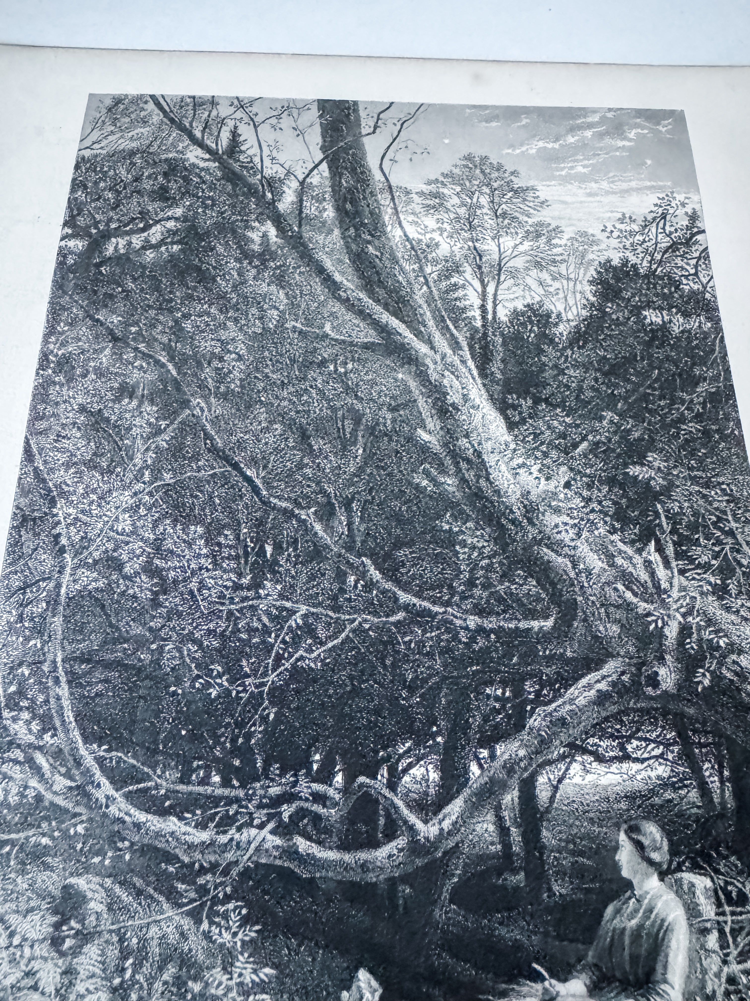 Antique Book Engraving Of Woman In The Woods Scene