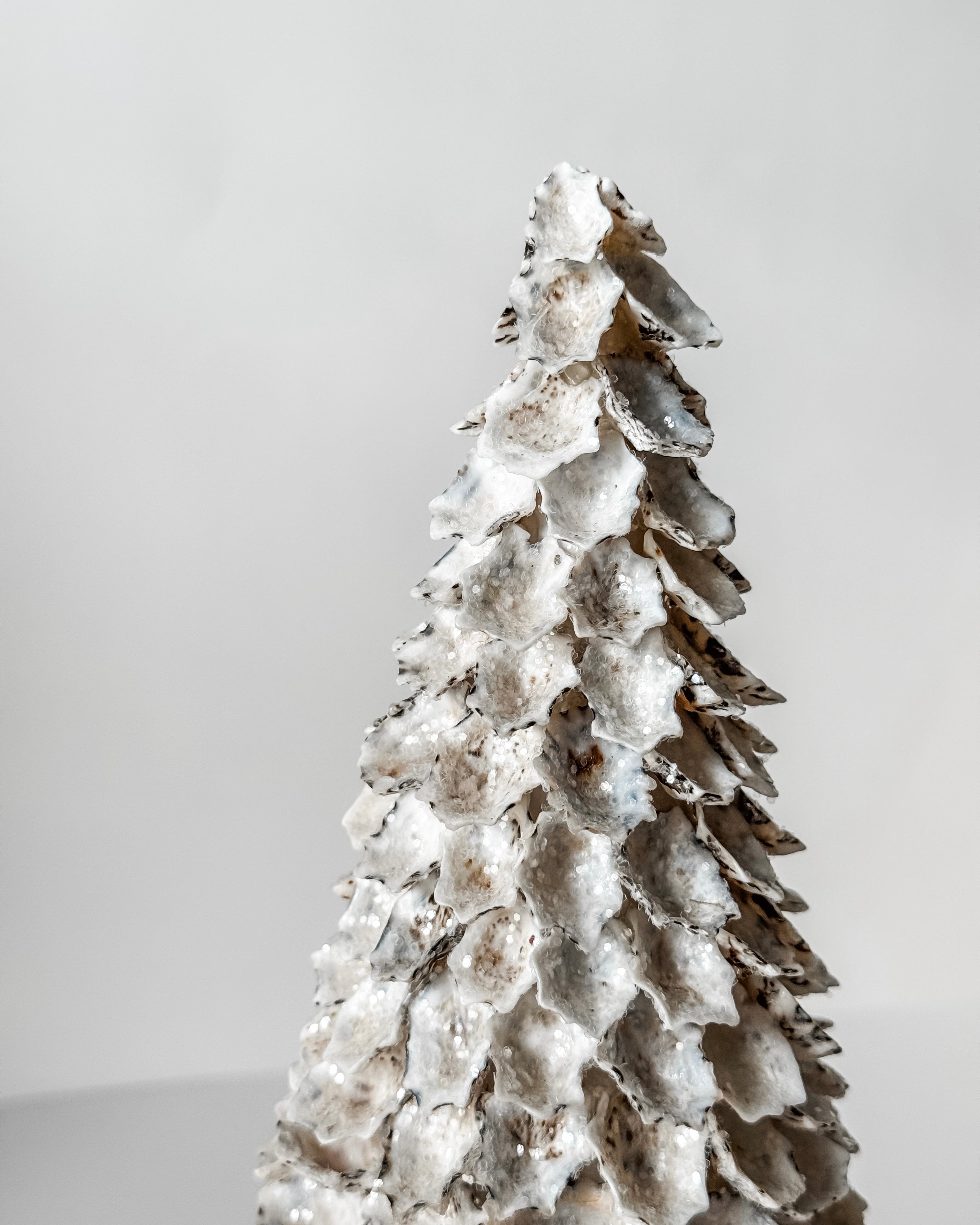 Vintage Limpet Shell Tree
