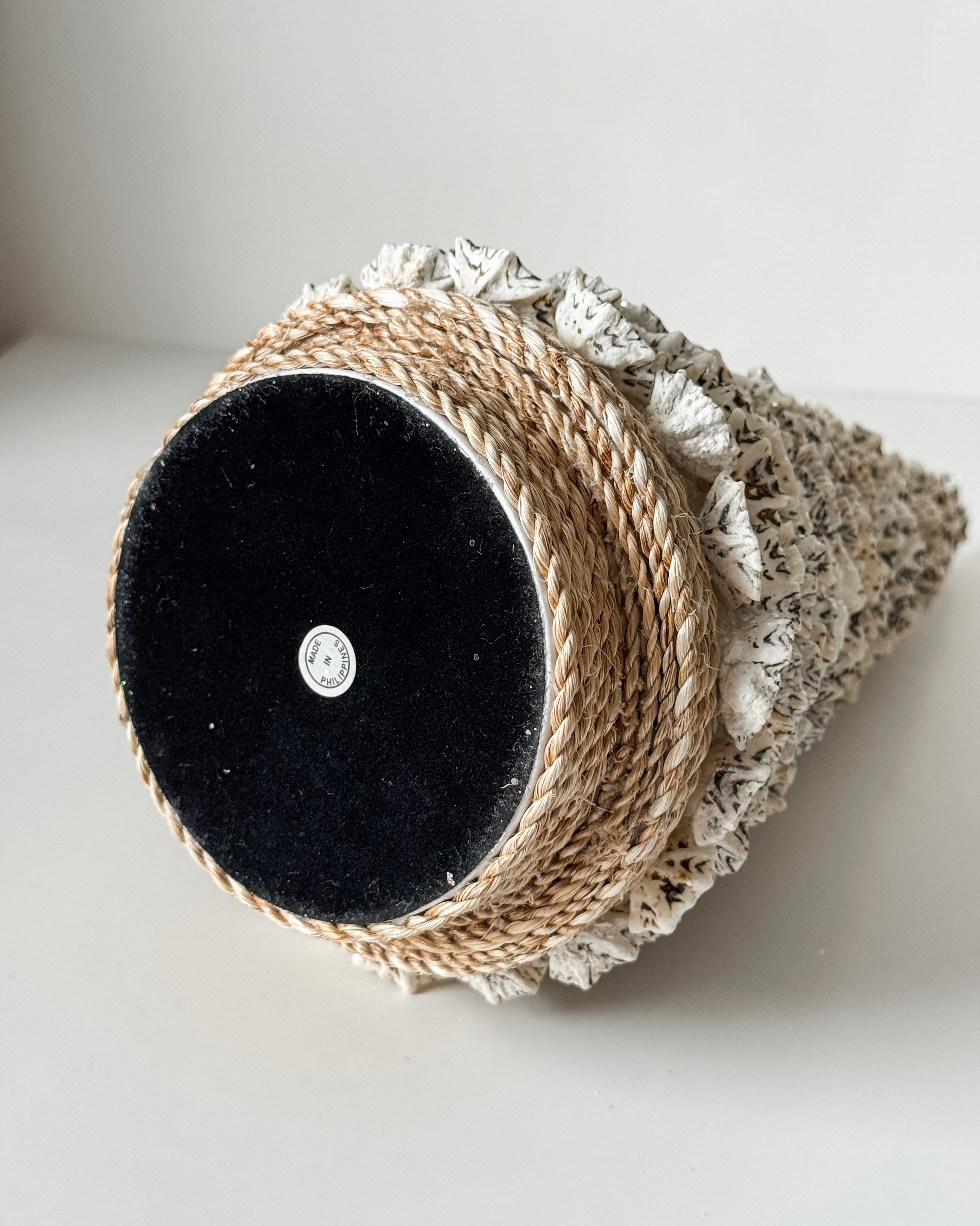 Vintage Limpet Shell Tree