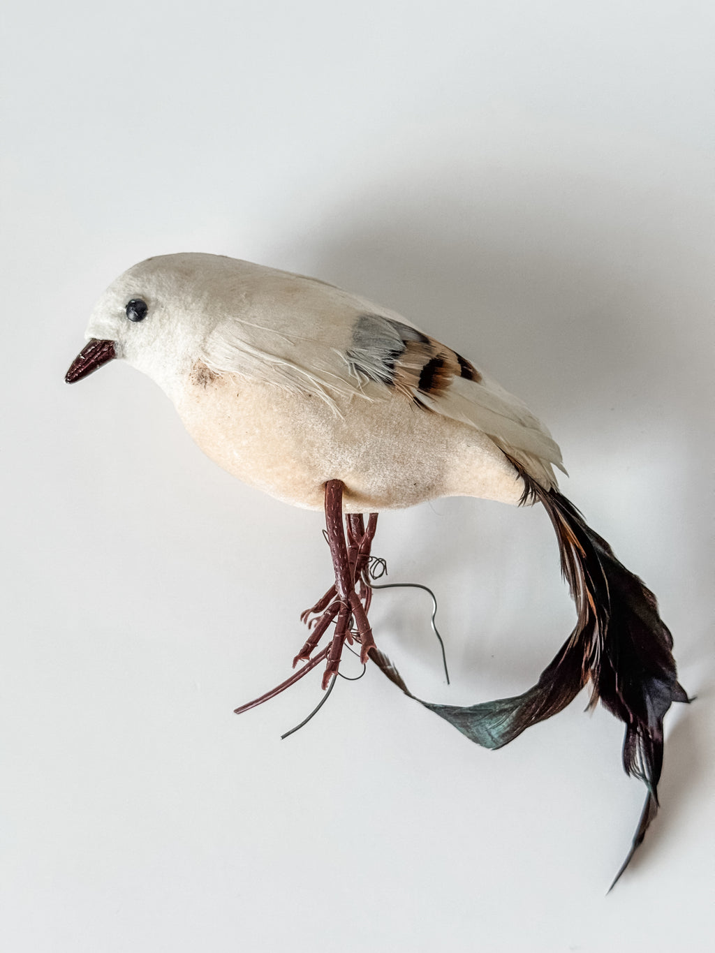 Vintage Velvet And Feather Bird