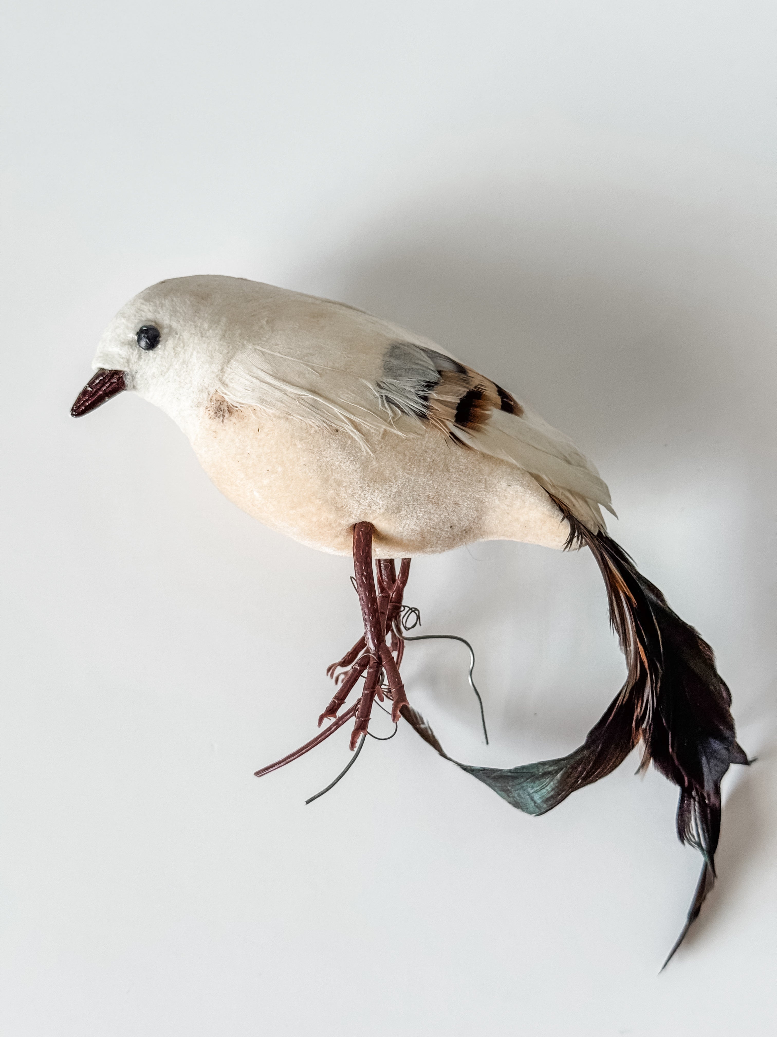 Vintage Velvet And Feather Bird