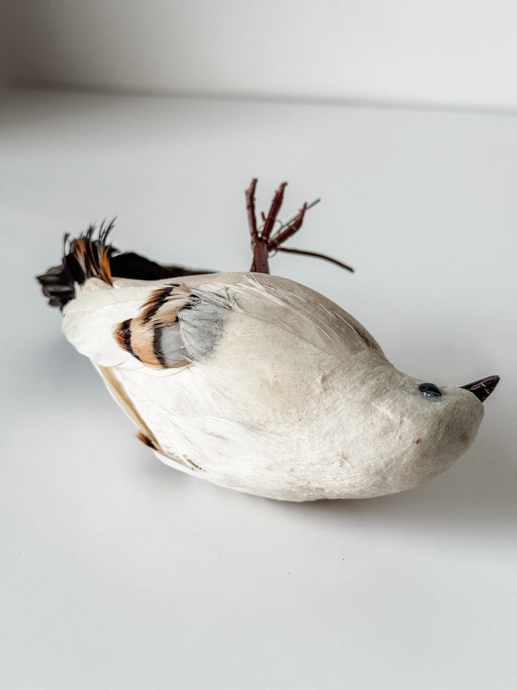 Vintage Velvet And Feather Bird