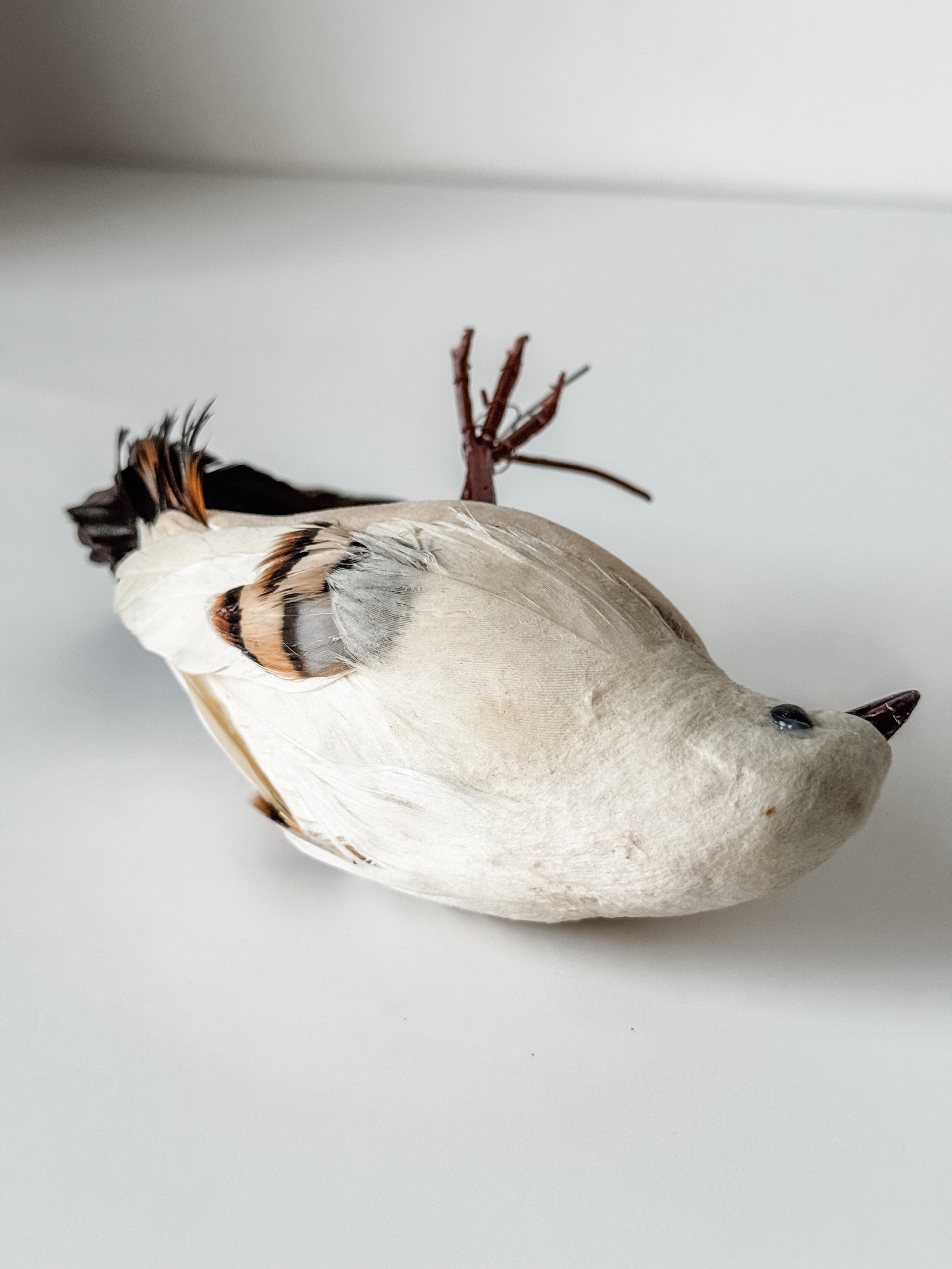 Vintage Velvet And Feather Bird