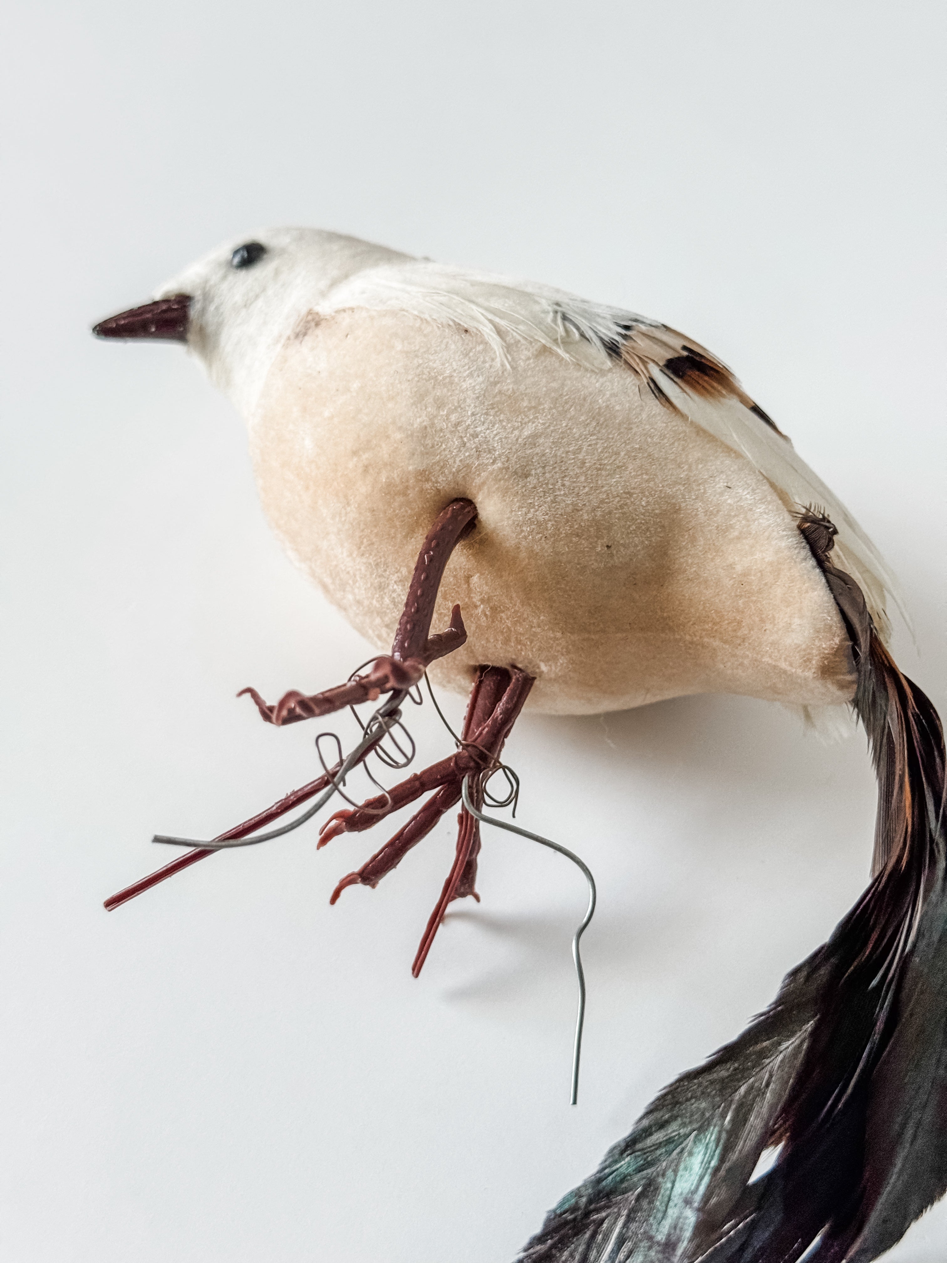 Vintage Velvet And Feather Bird