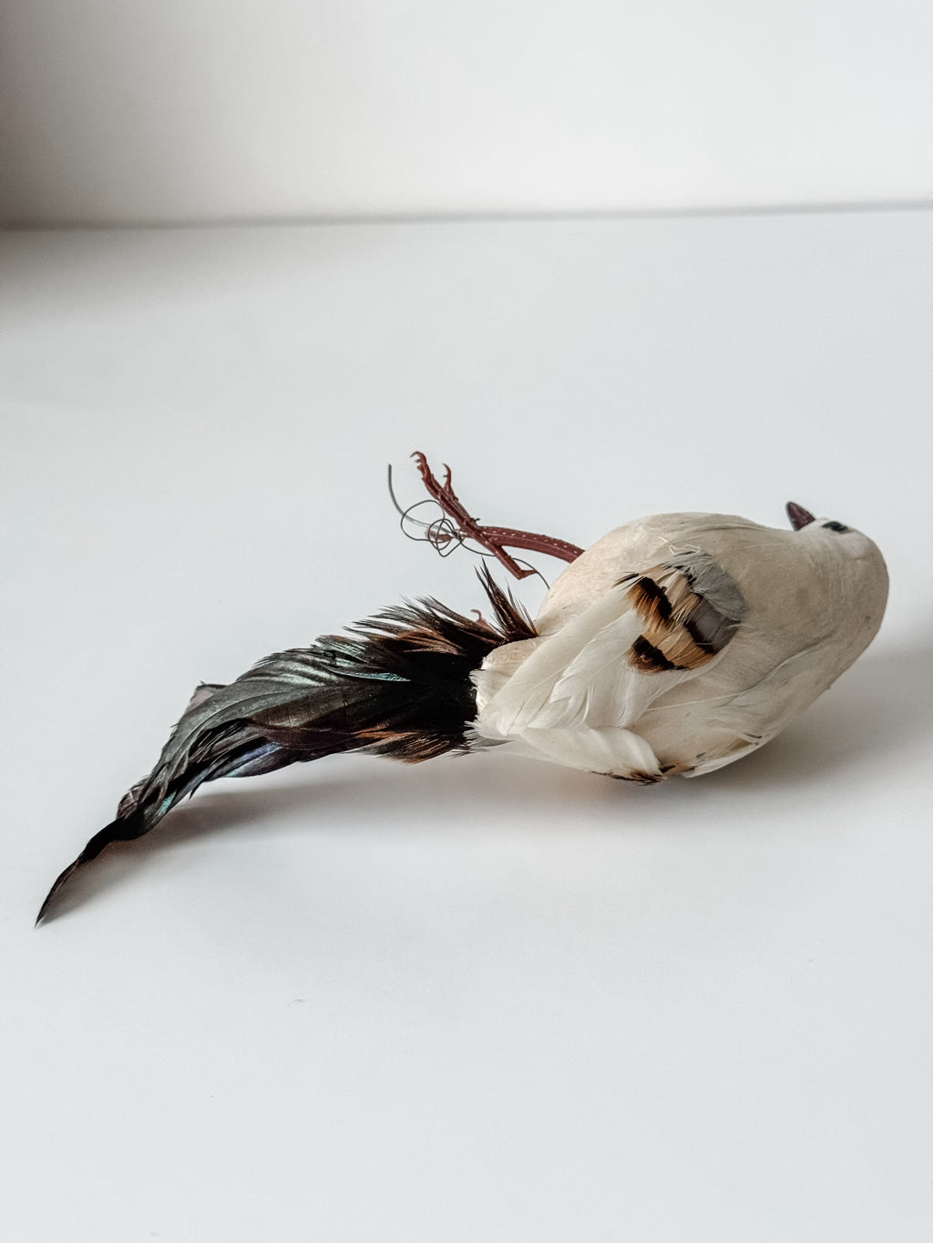 Vintage Velvet And Feather Bird