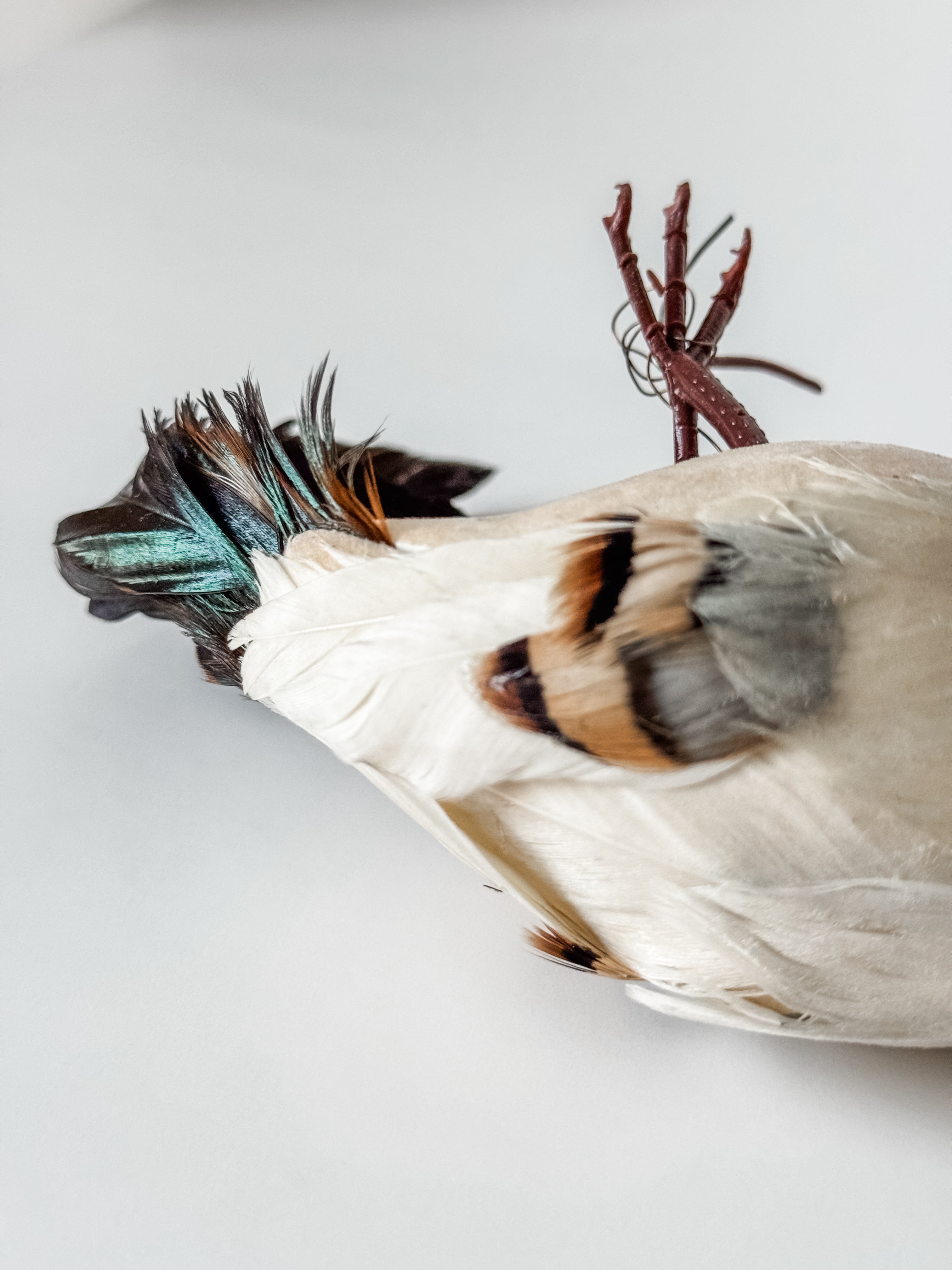 Vintage Velvet And Feather Bird