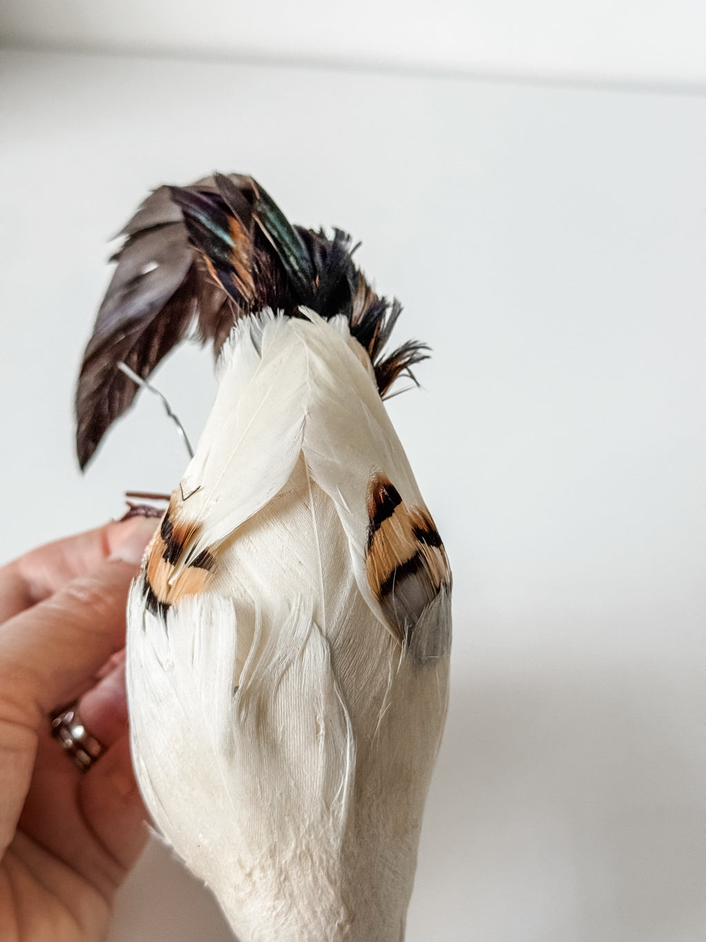 Vintage Velvet And Feather Bird