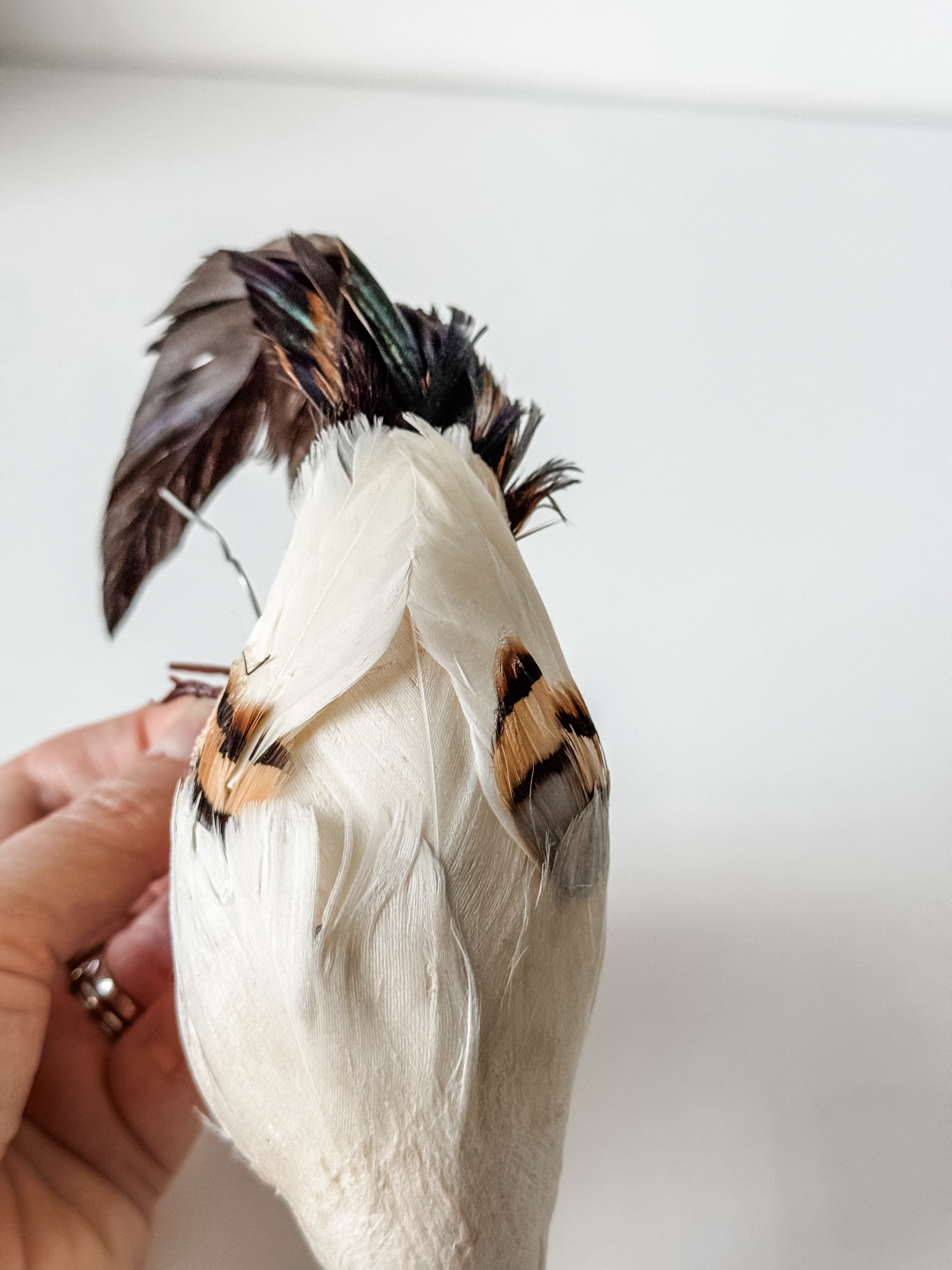 Vintage Velvet And Feather Bird