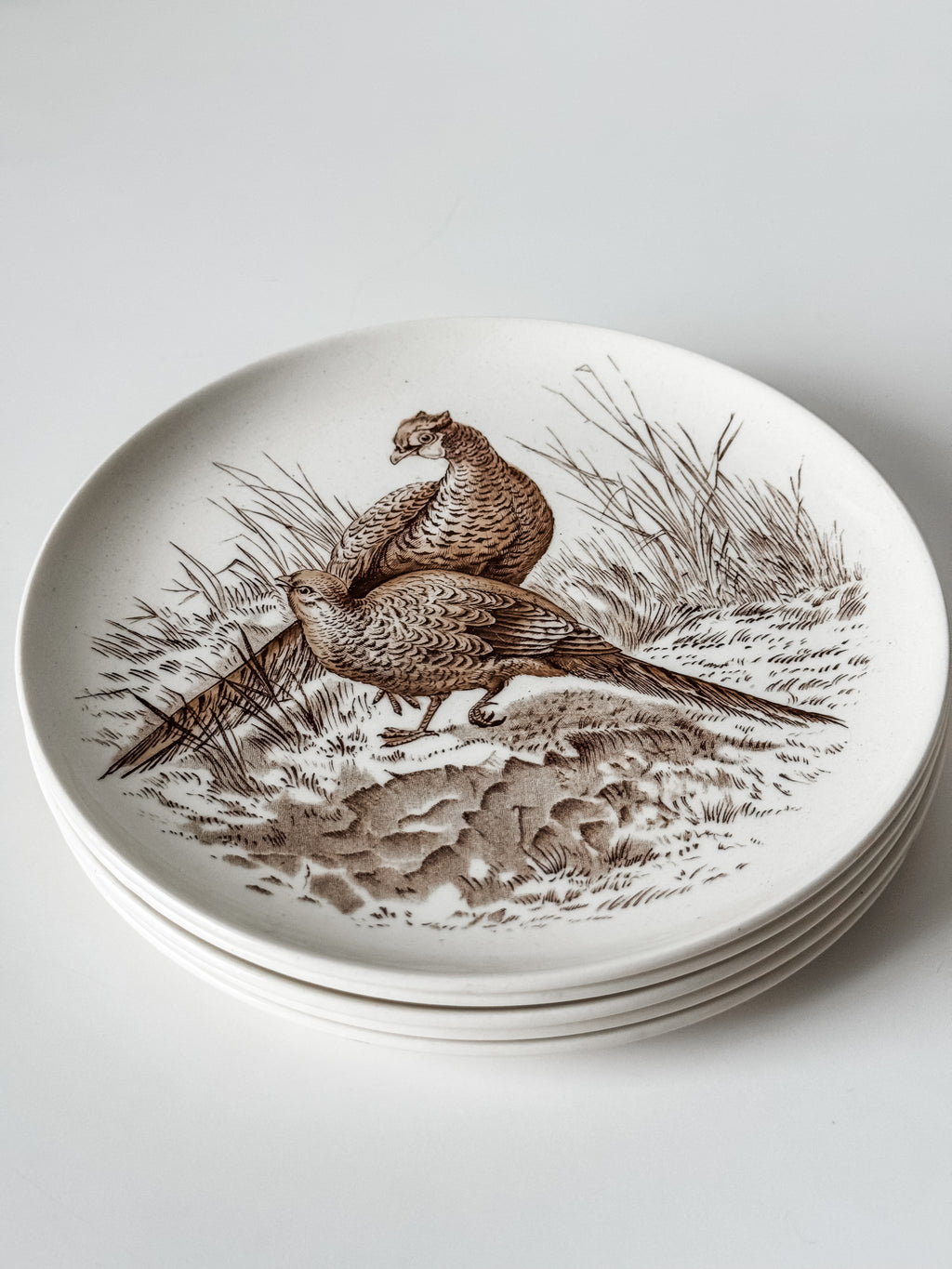 Vintage English Game Bird Plates