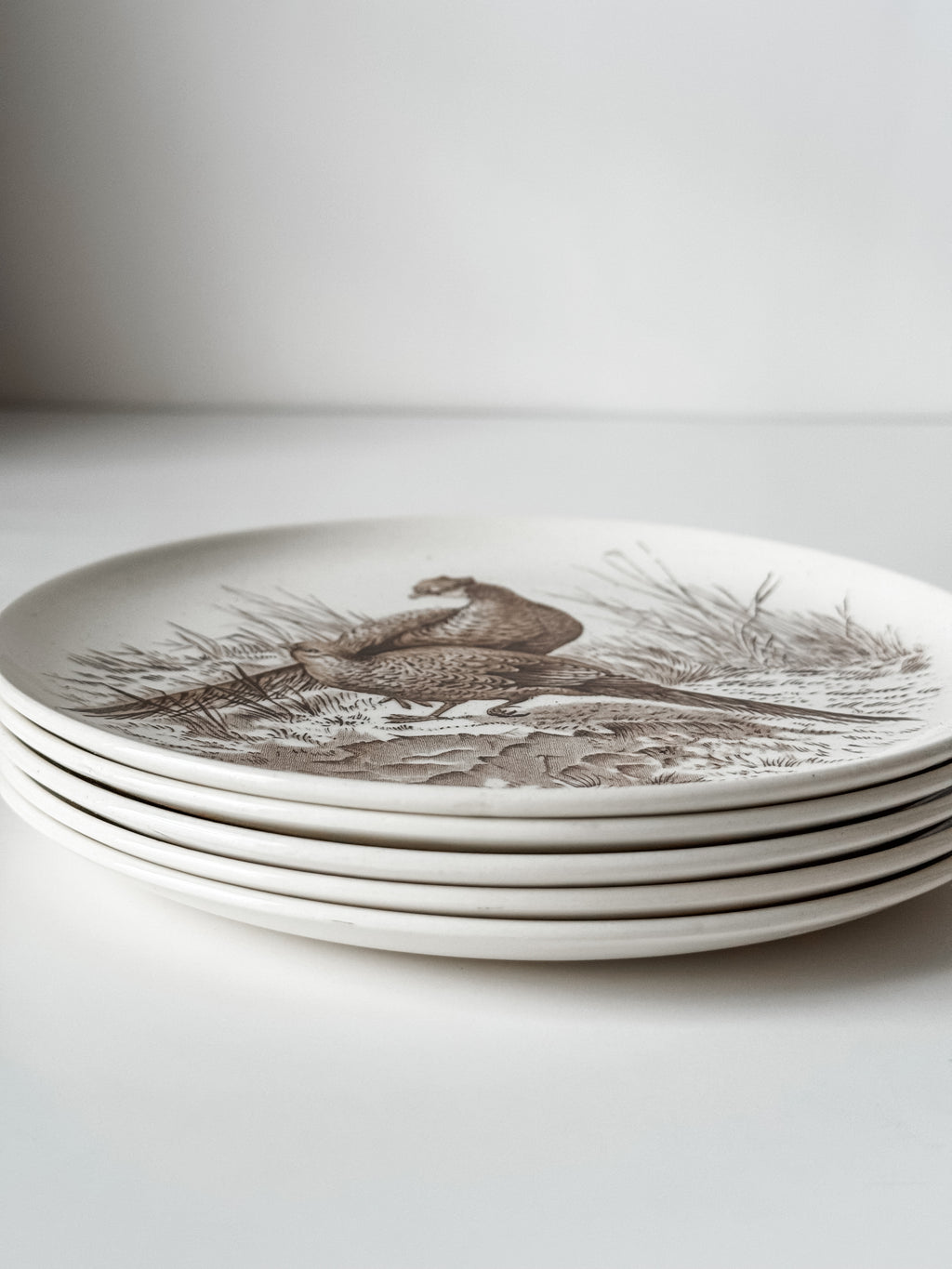 Vintage English Game Bird Plates