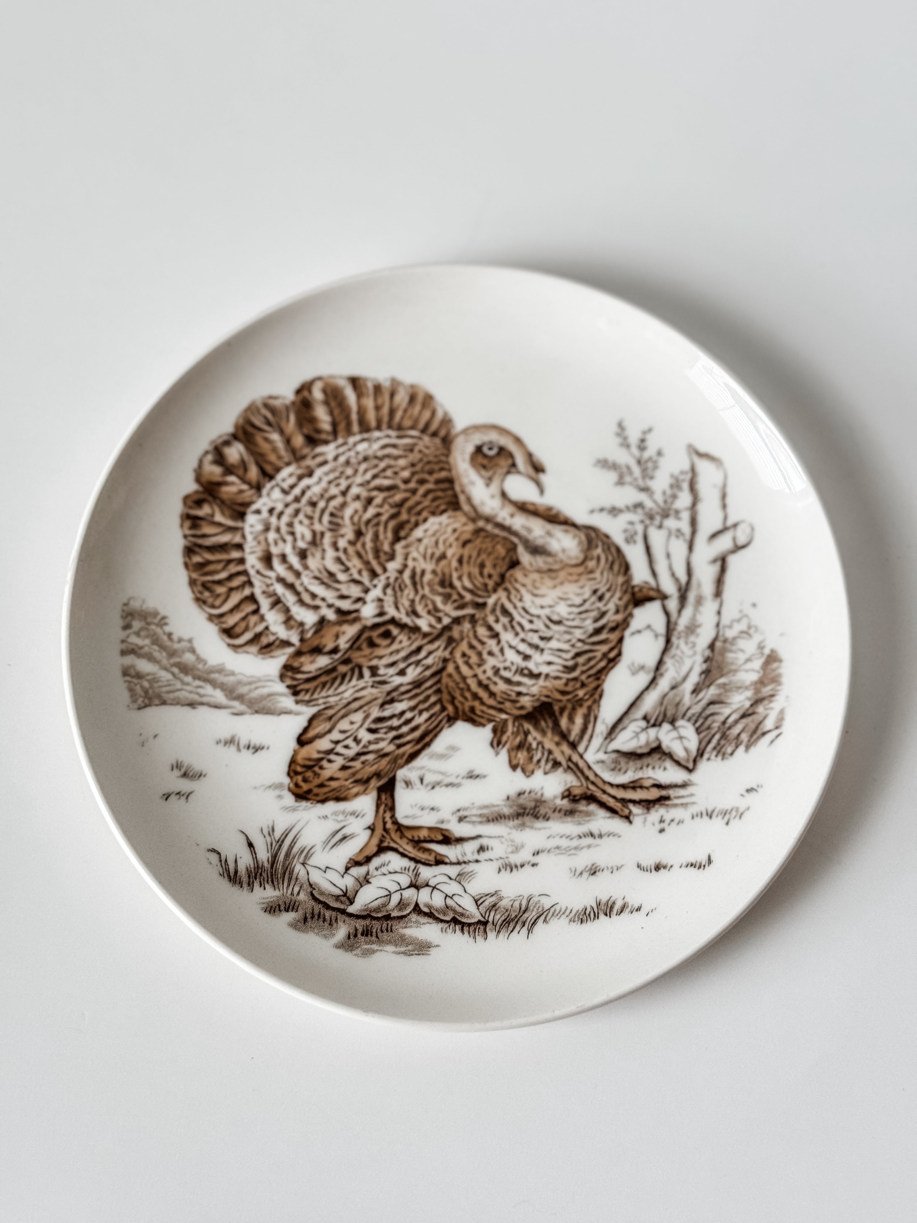 Vintage English Game Bird Plates