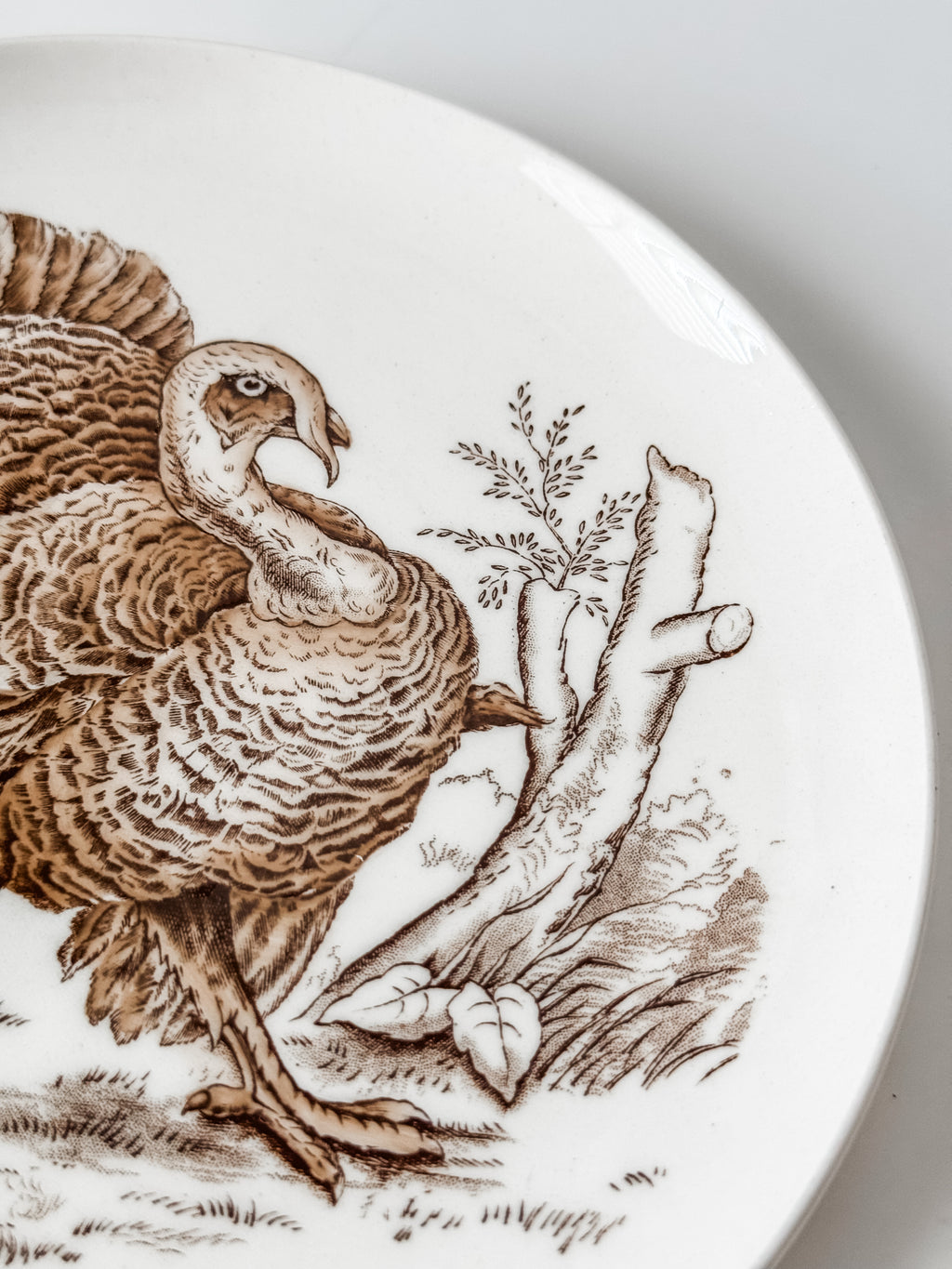 Vintage English Game Bird Plates