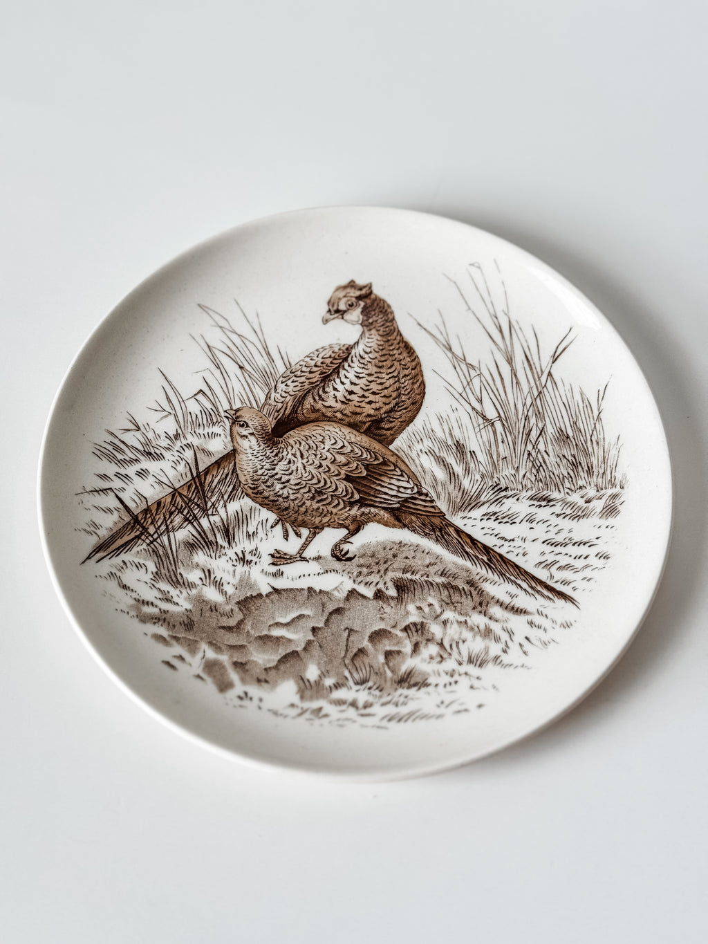 Vintage English Game Bird Plates
