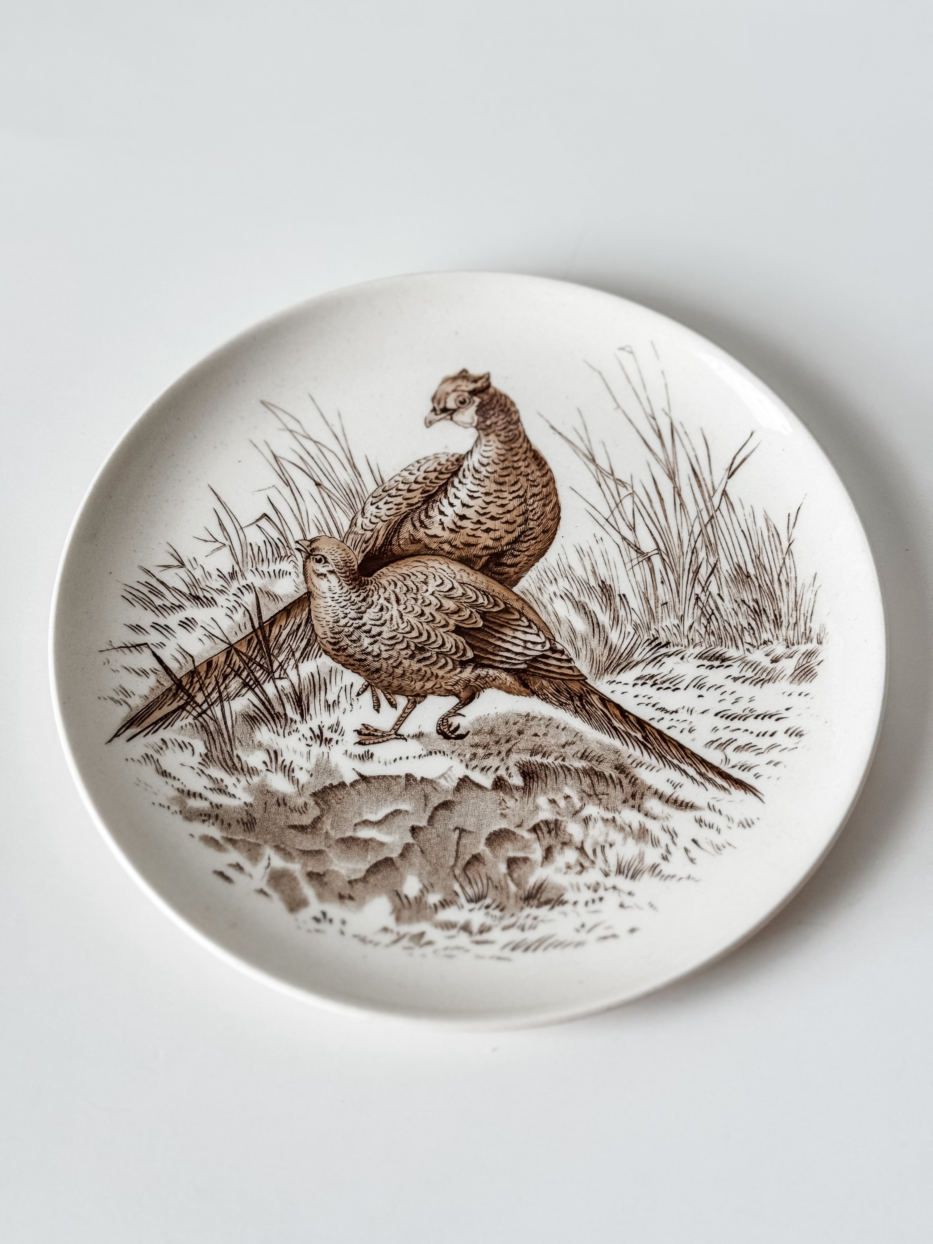 Vintage English Game Bird Plates