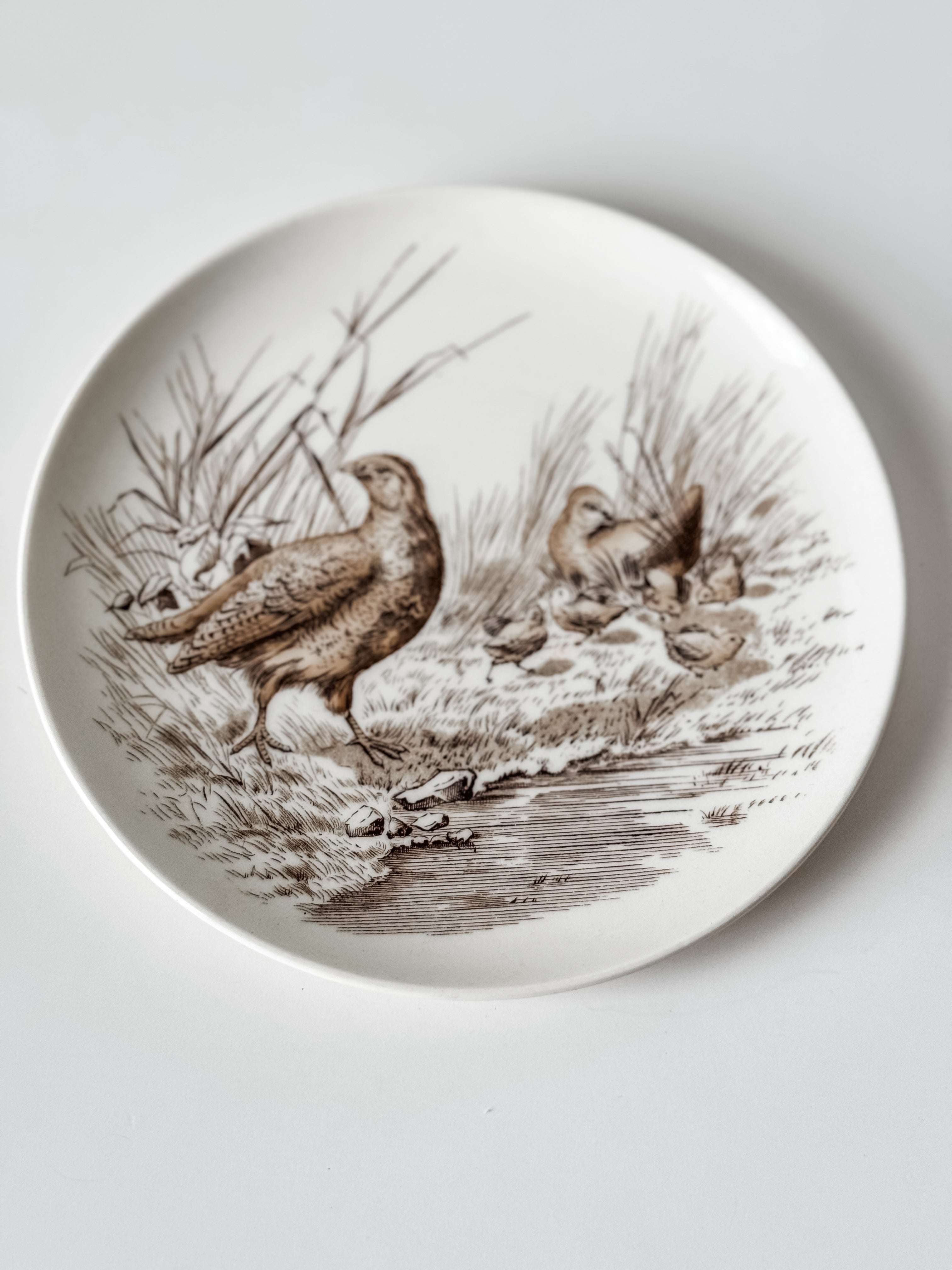 Vintage English Game Bird Plates