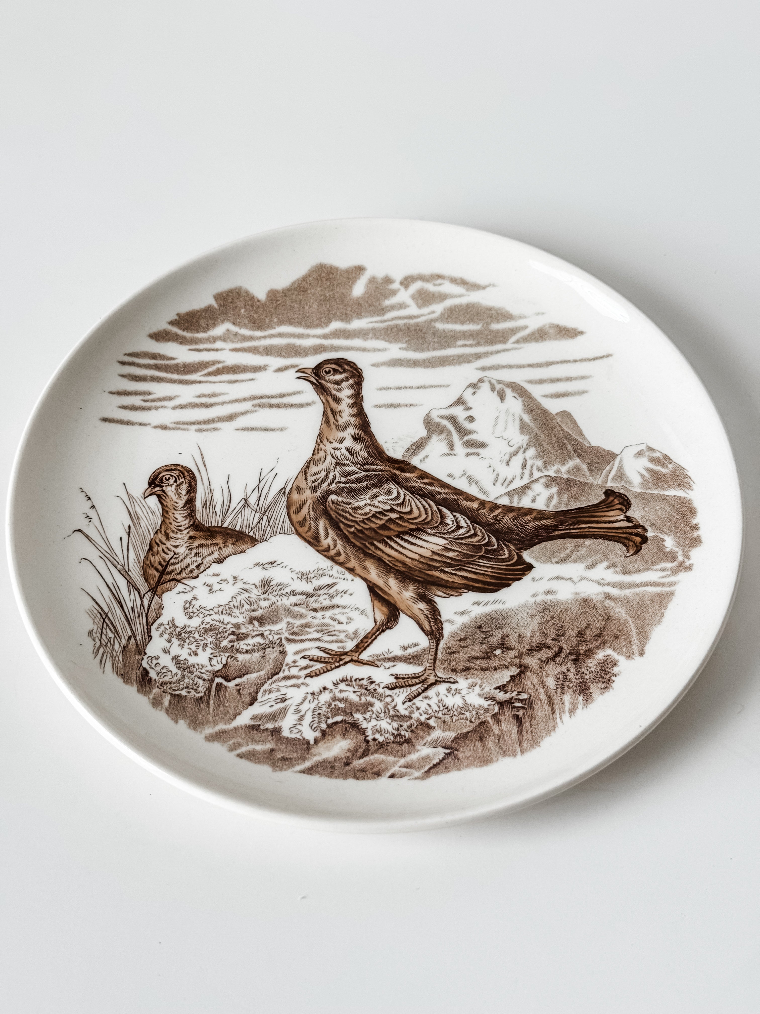 Vintage English Game Bird Plates