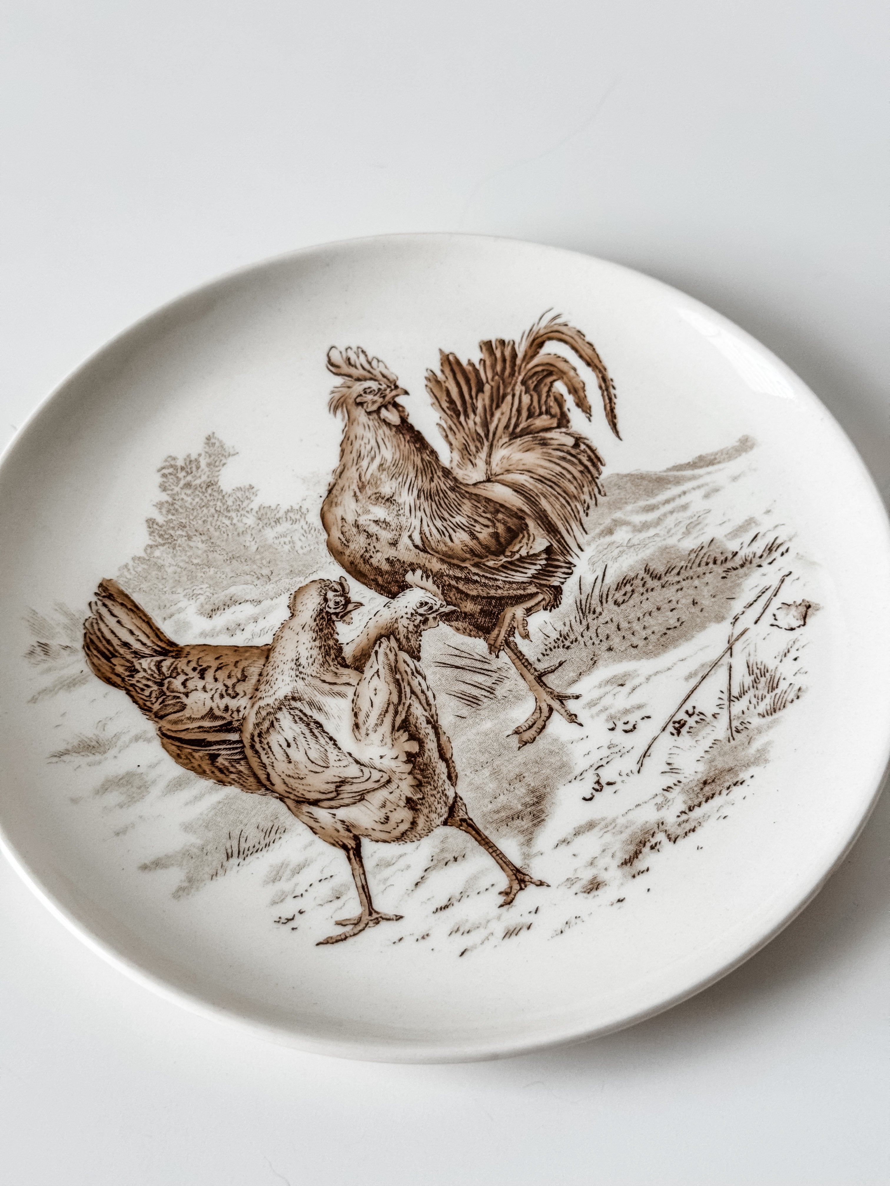Vintage English Game Bird Plates