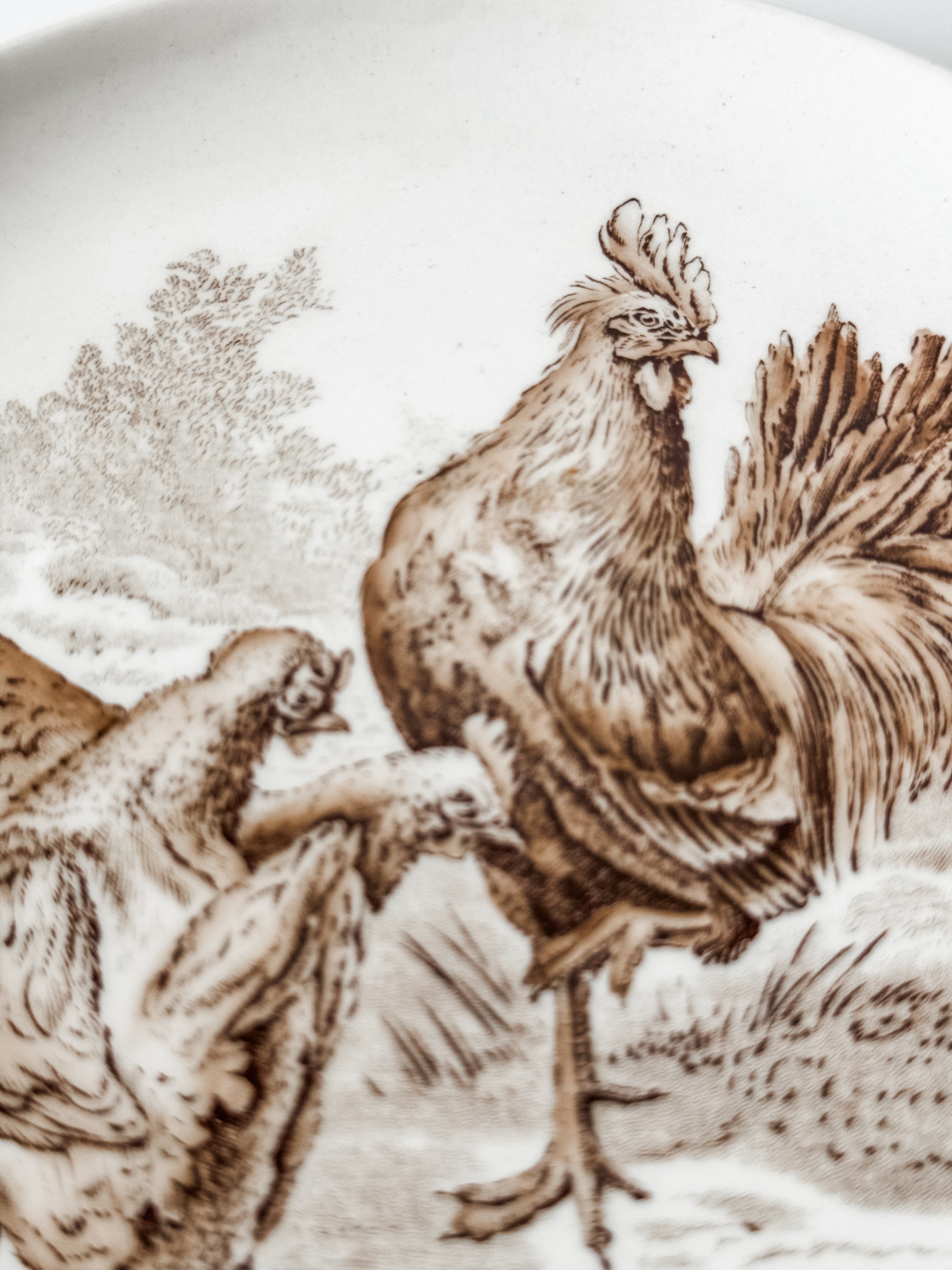 Vintage English Game Bird Plates