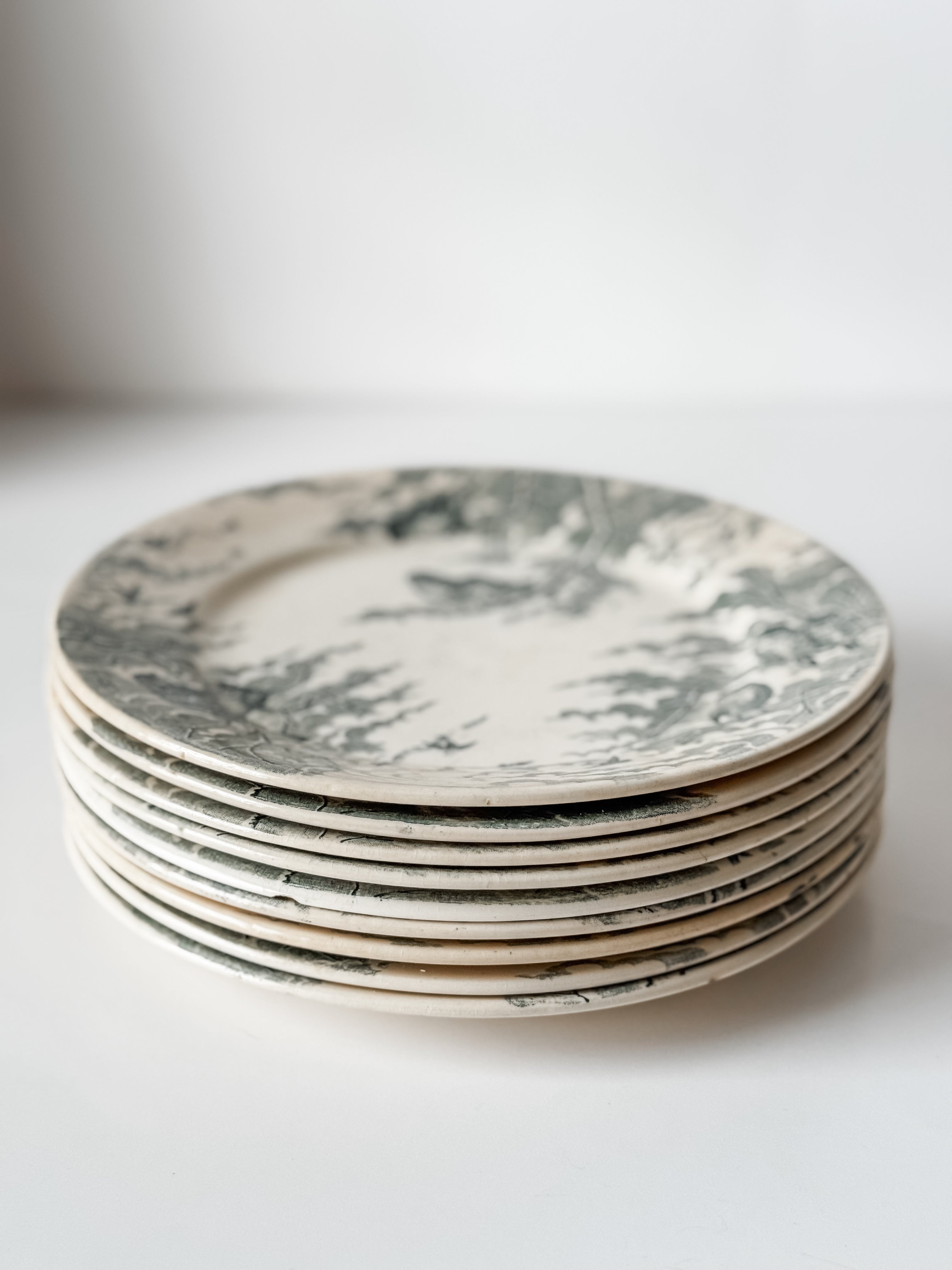 Antique Green Transferware French Bird Plates